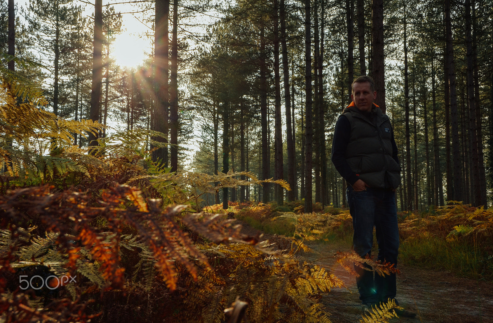 Nikon D5100 + Sigma 18-250mm F3.5-6.3 DC OS HSM sample photo. Autumn colours photography