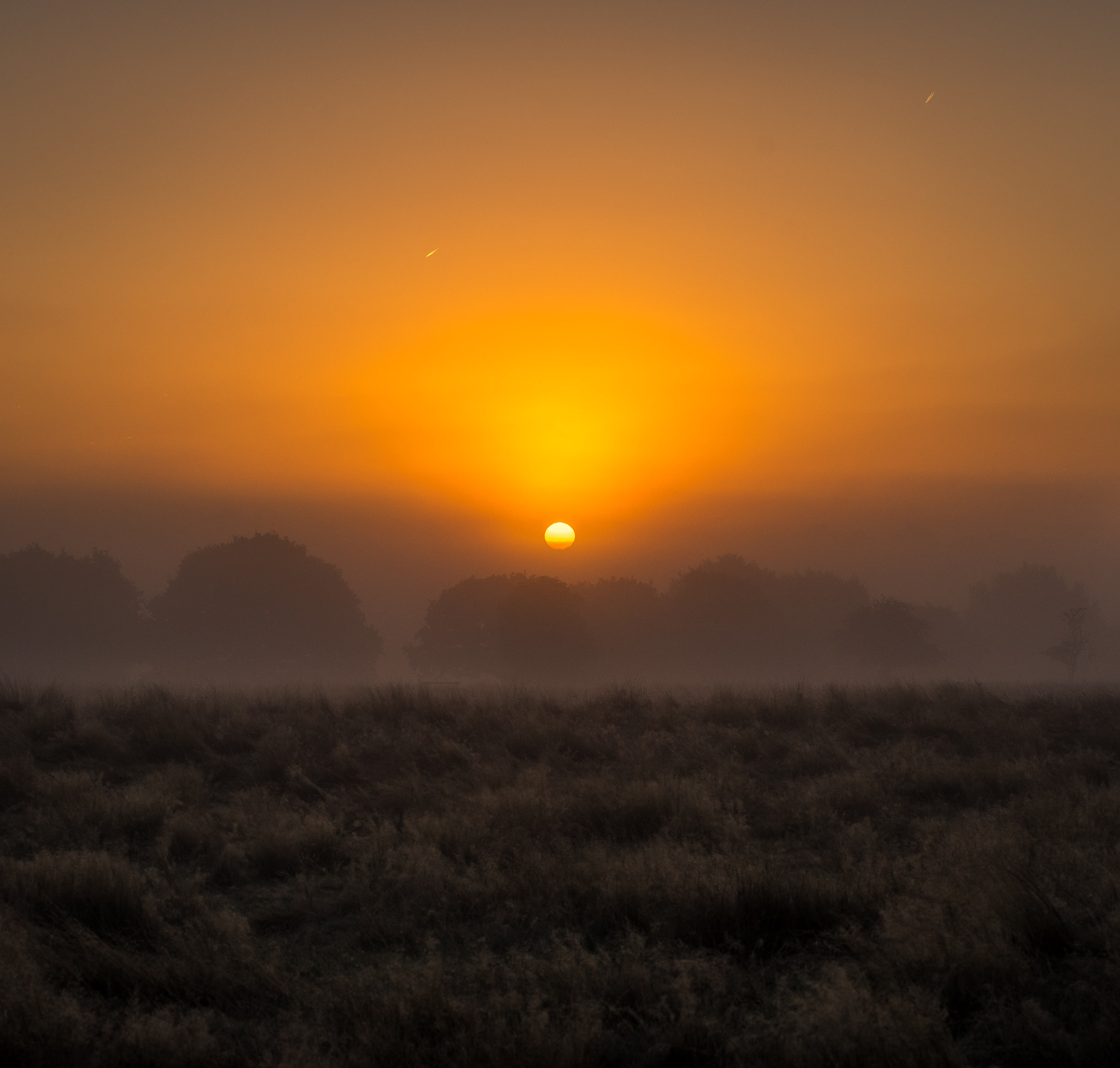 Sony a7 + Tamron 18-270mm F3.5-6.3 Di II PZD sample photo. Fog in richmond  photography