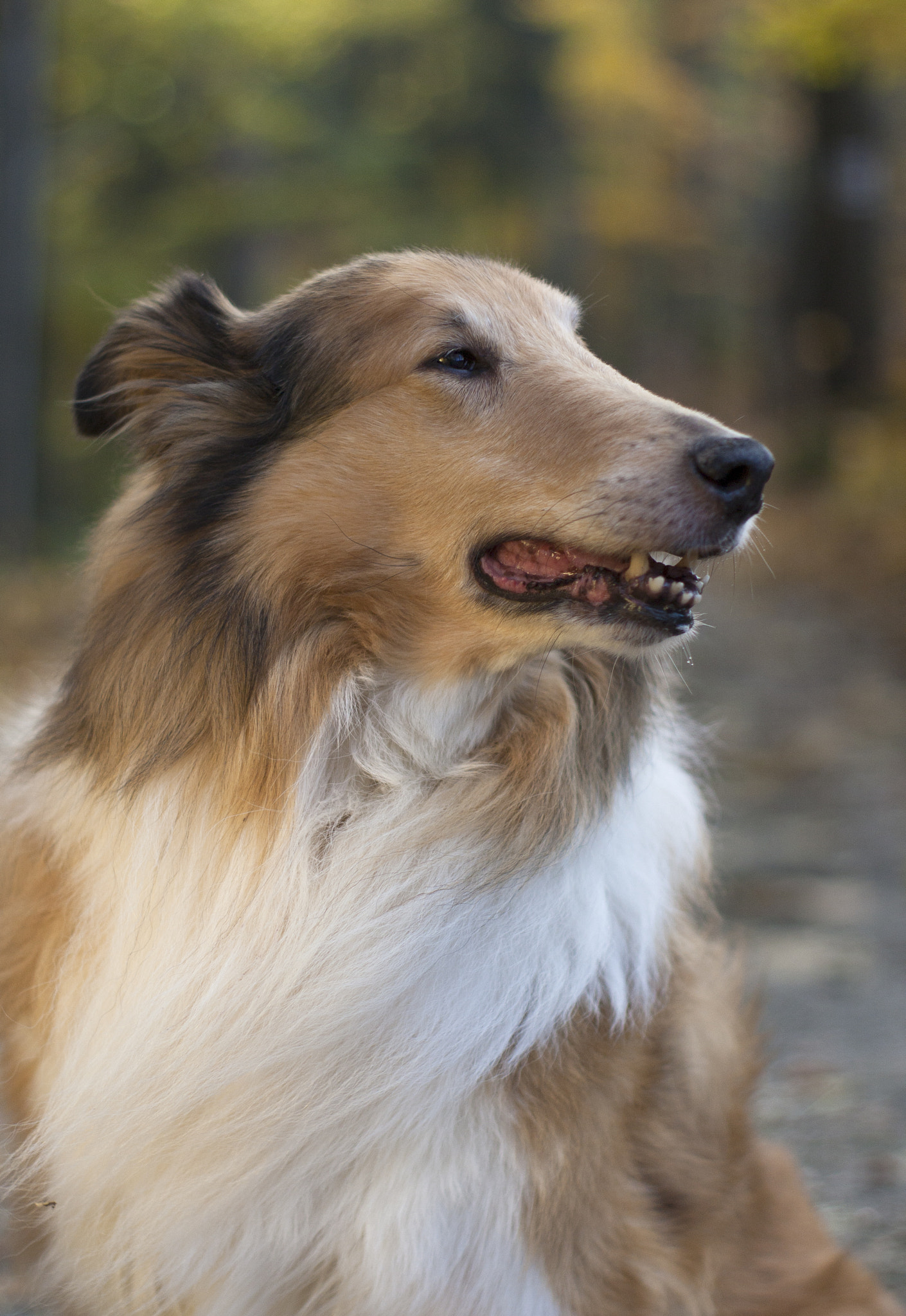 Canon EF 35-80mm f/4-5.6 sample photo. Mutek ii photography