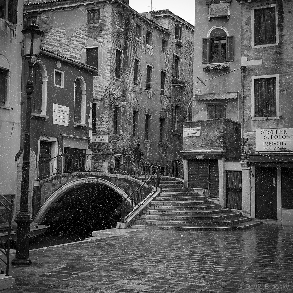 Sony Alpha NEX-7 + Sony Sonnar T* E 24mm F1.8 ZA sample photo. When it's snowing in venice photography