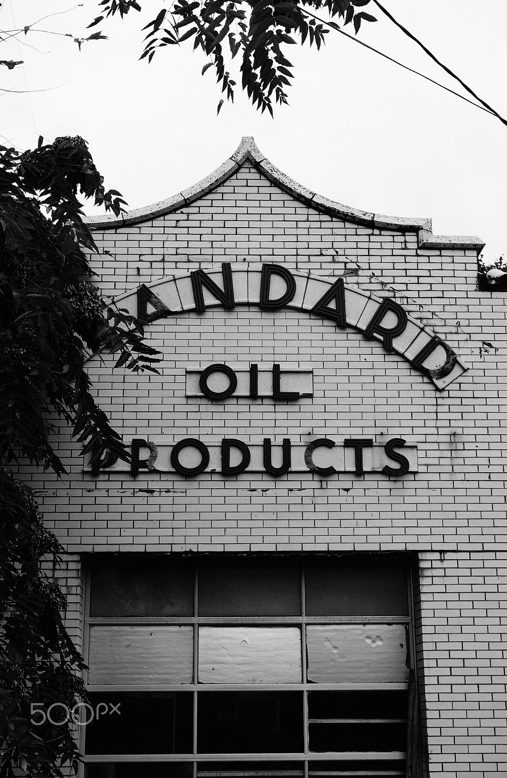 Sony SLT-A57 sample photo. Standard oil photography