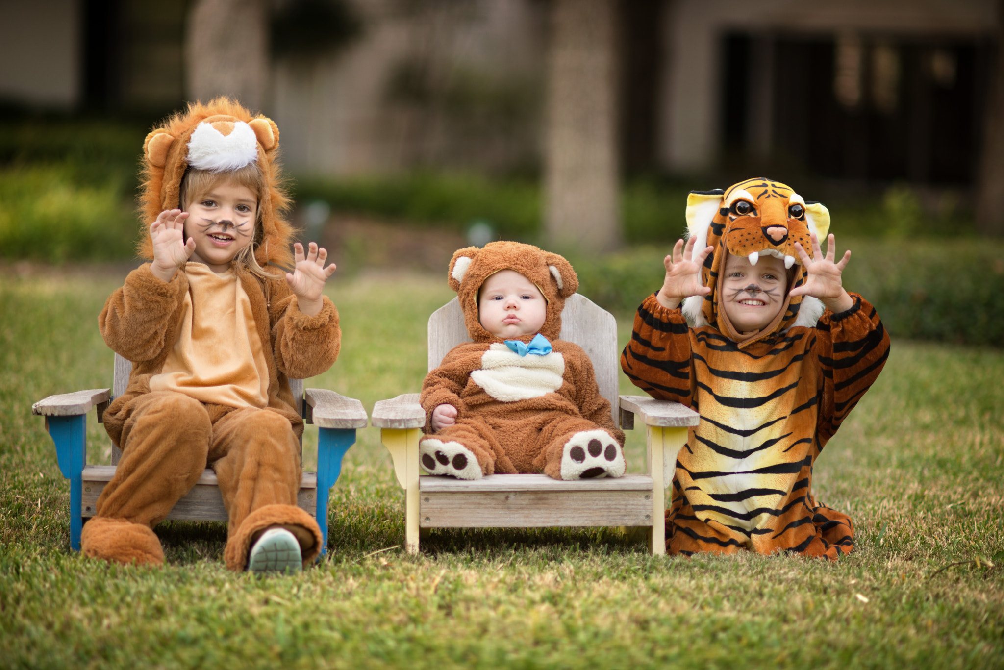 Nikon D610 + AF DC-Nikkor 135mm f/2D sample photo. Lions tigers and bears photography