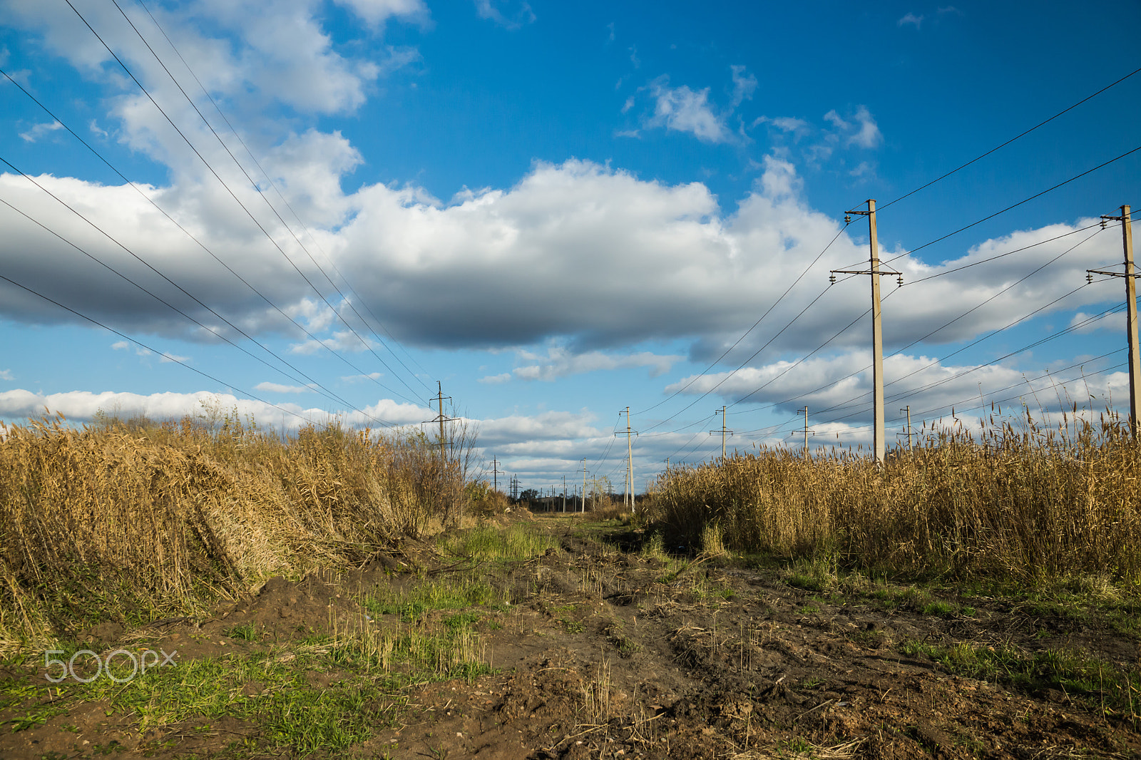 Sony SLT-A65 (SLT-A65V) sample photo. The road and lines photography