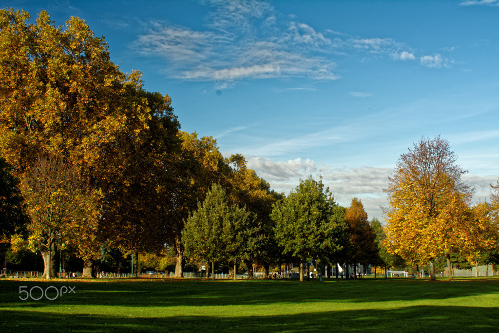 AF Zoom-Nikkor 35-135mm f/3.5-4.5 N sample photo. Herbstfarben in der city photography