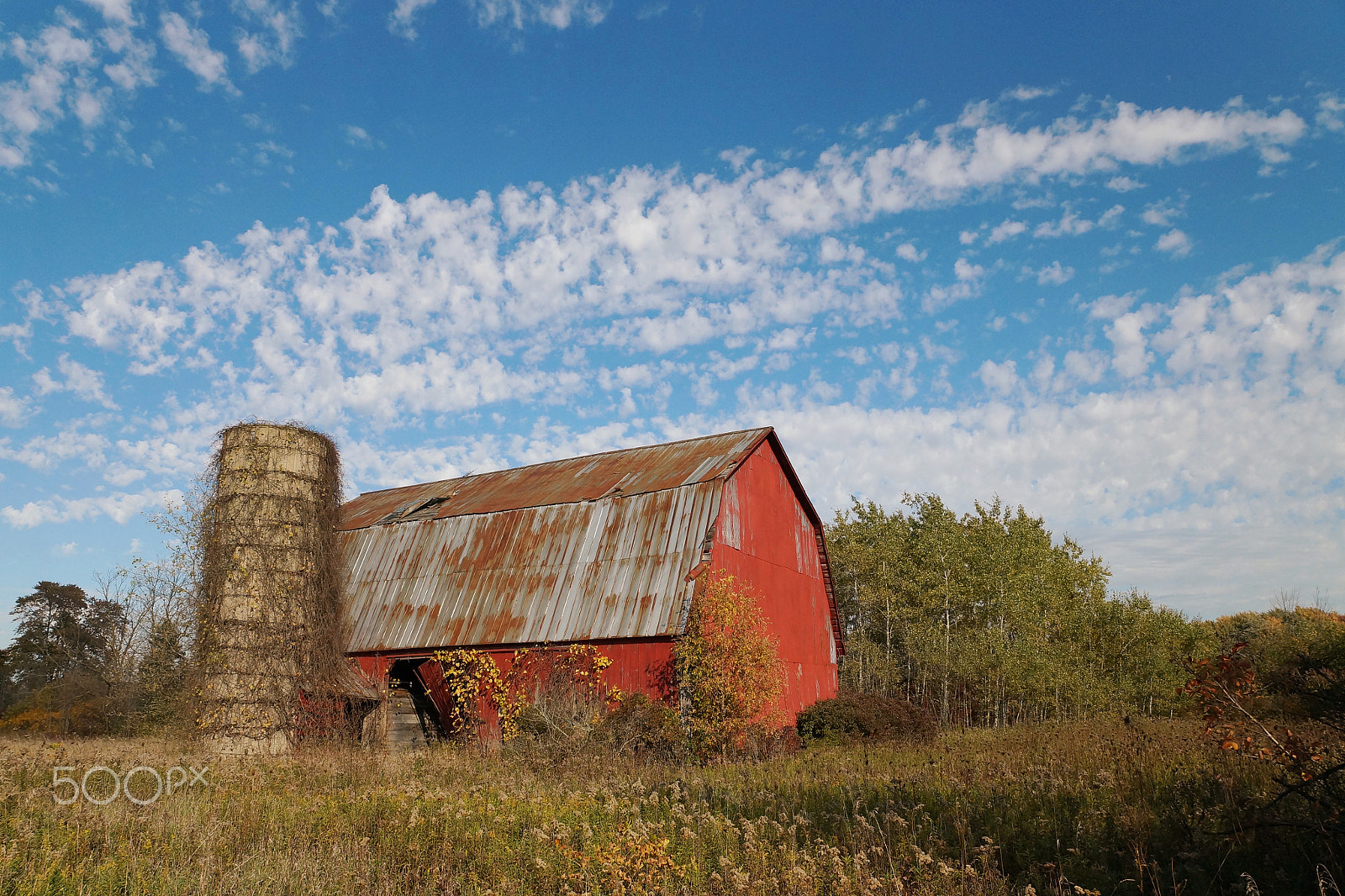 Sony SLT-A57 + Sony DT 16-50mm F2.8 SSM sample photo. Marsh road barn photography