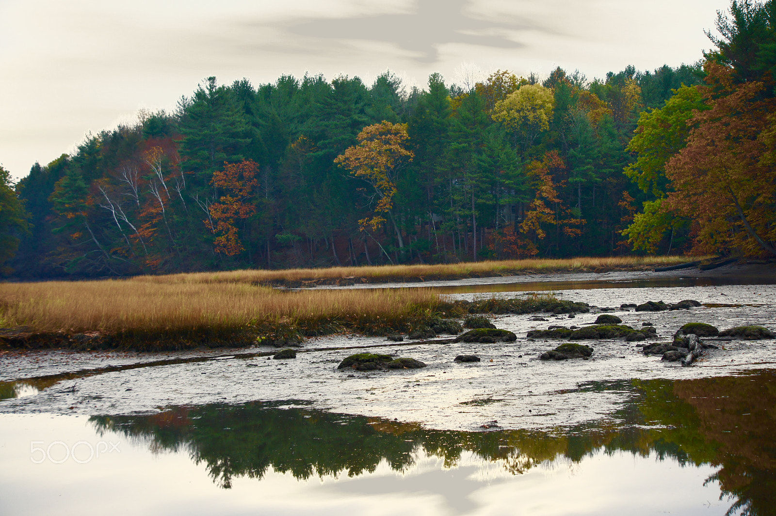 Sony Alpha NEX-3 sample photo. Low tide photography