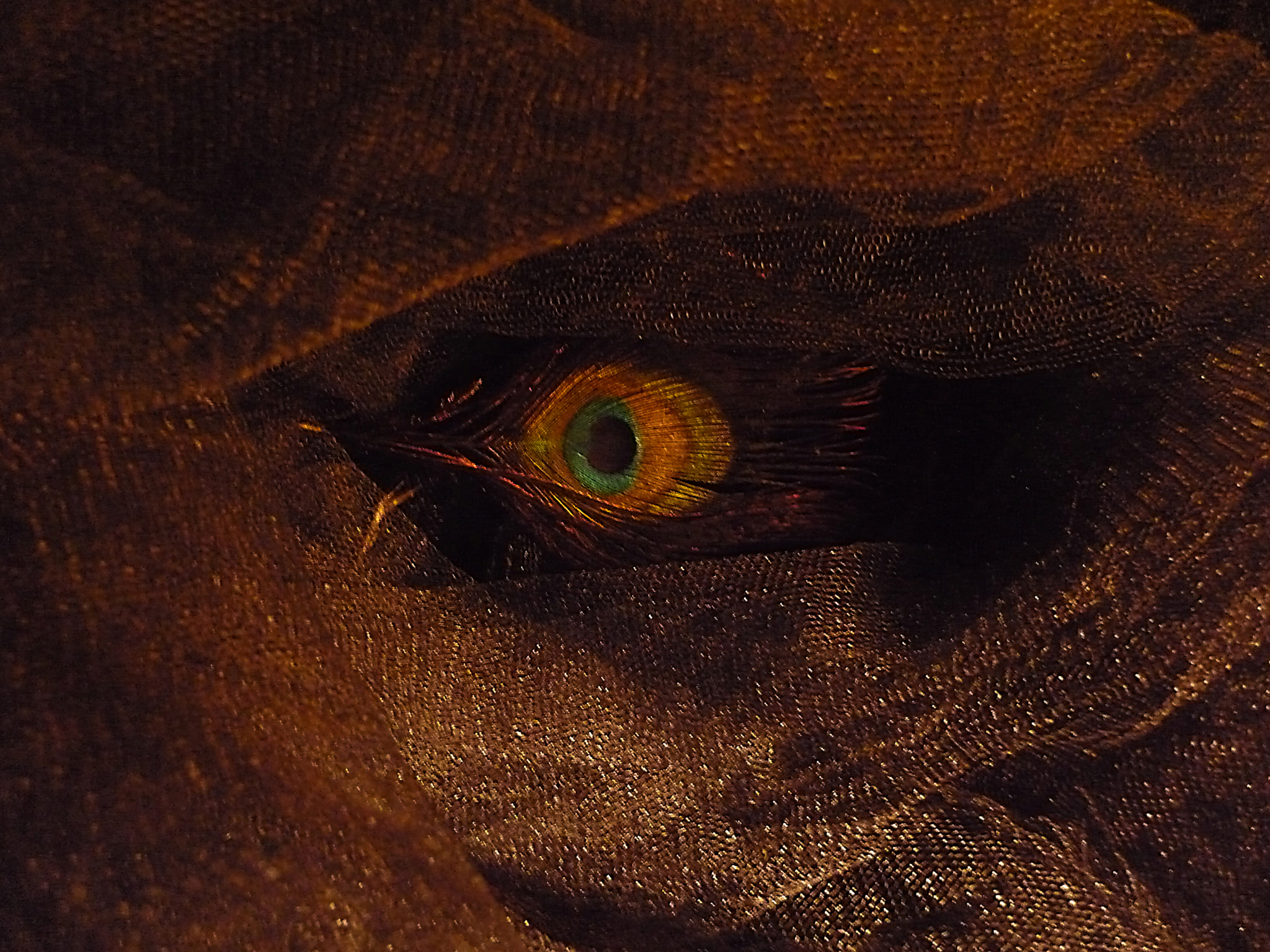 Panasonic Lumix DMC-FS3 sample photo. Dragon eye photography