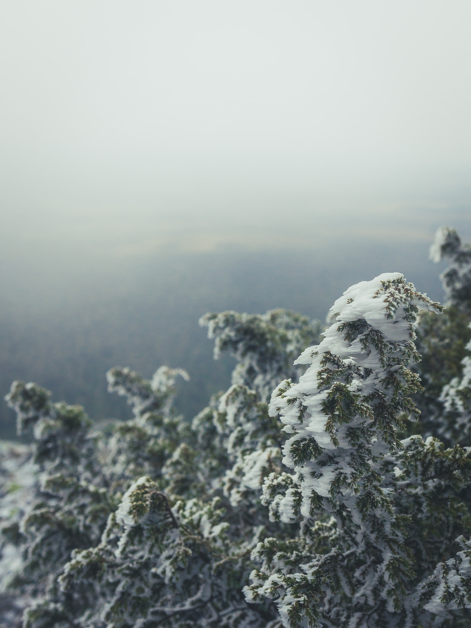 Nikon D5100 + Sigma 18-35mm F1.8 DC HSM Art sample photo. Freezing wind photography