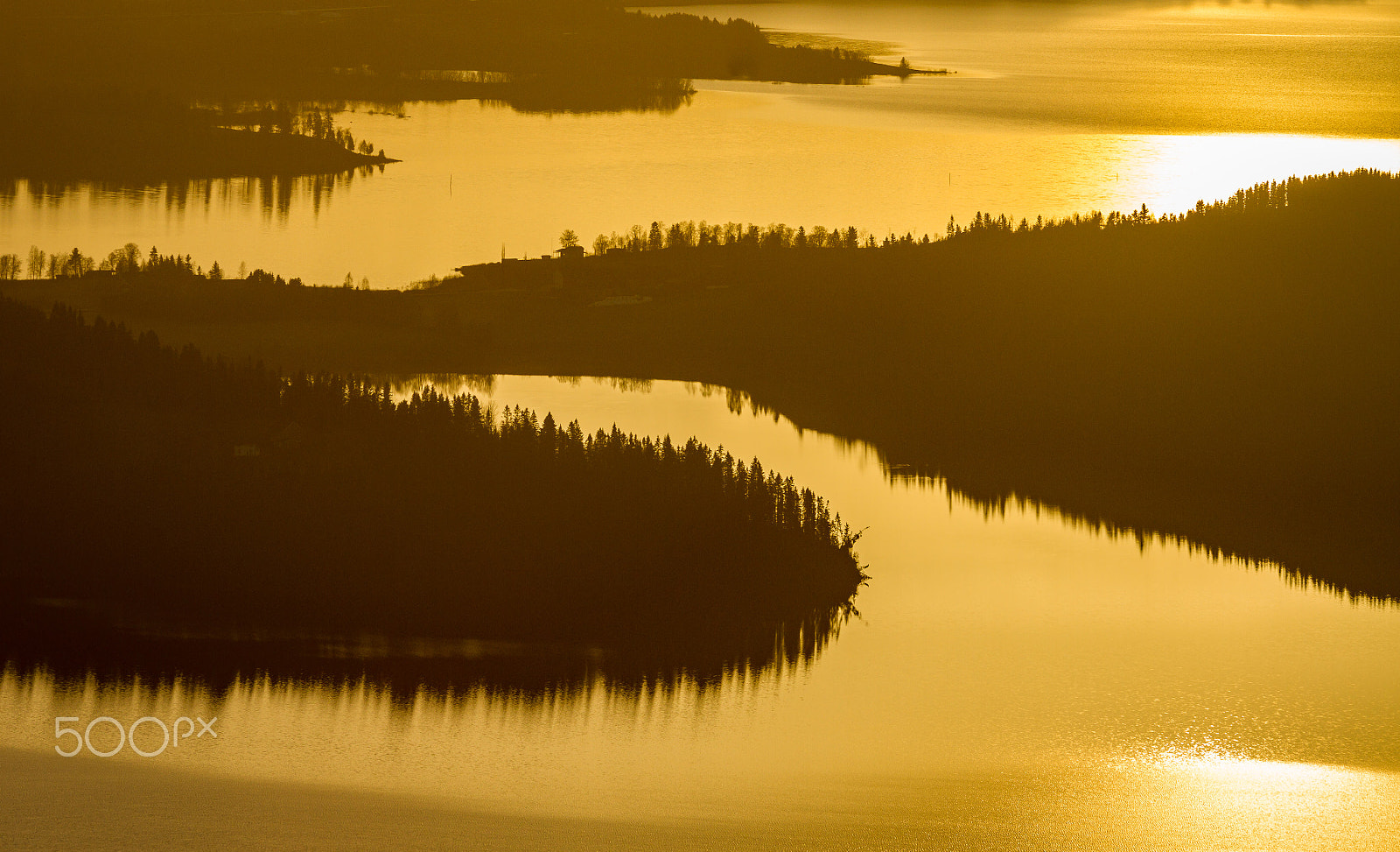 Sigma 150-500mm F5-6.3 DG OS HSM sample photo. Flønes photography