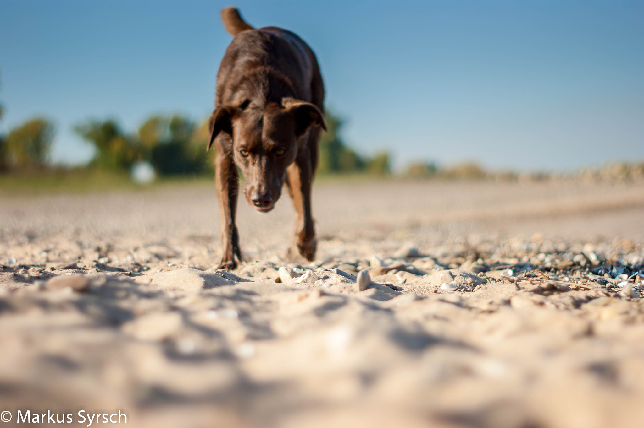 Sony Alpha DSLR-A350 + Minolta AF 50mm F1.7 sample photo. Mia am rhein photography