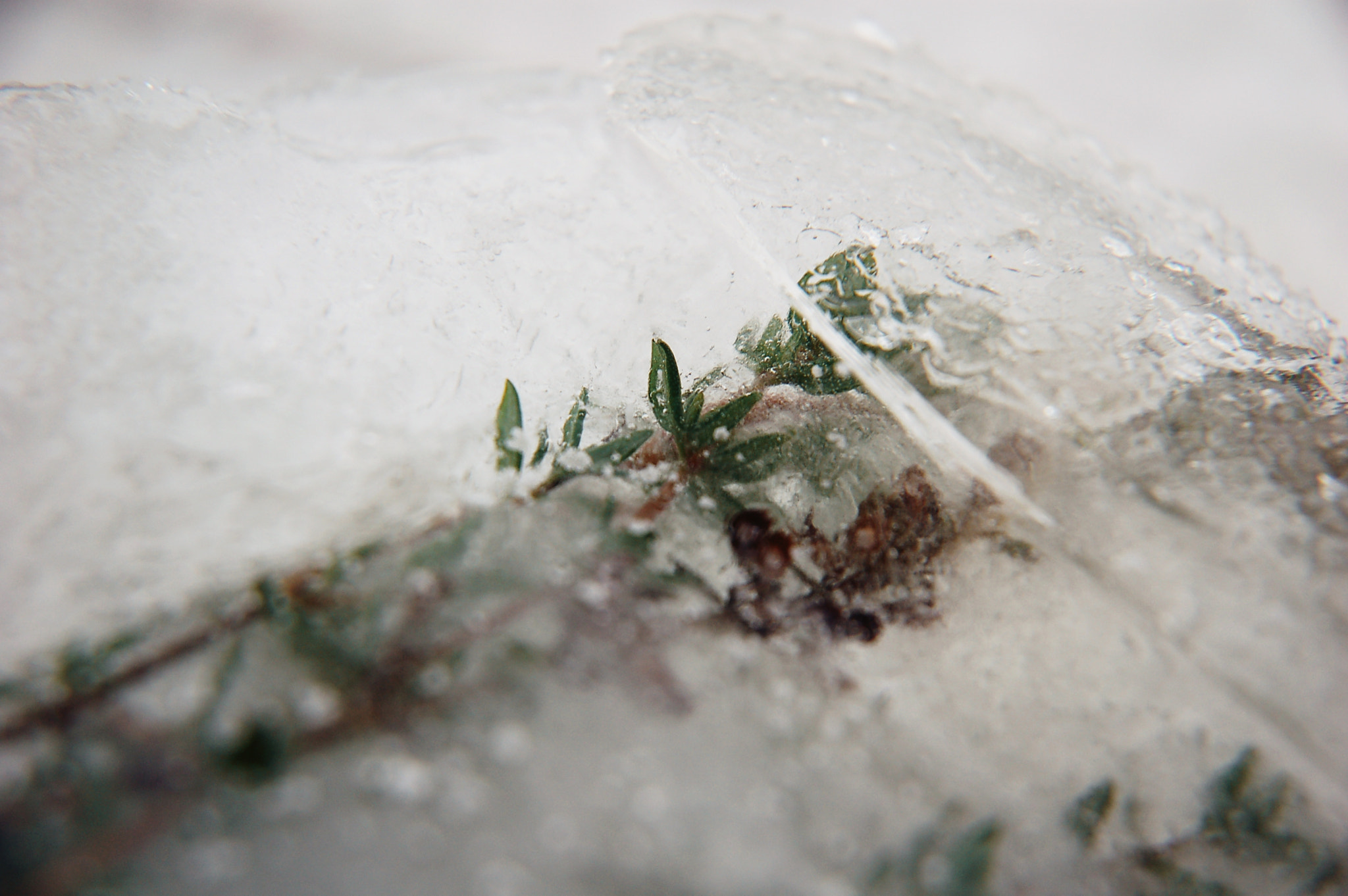 Nikon D50 sample photo. L photography
