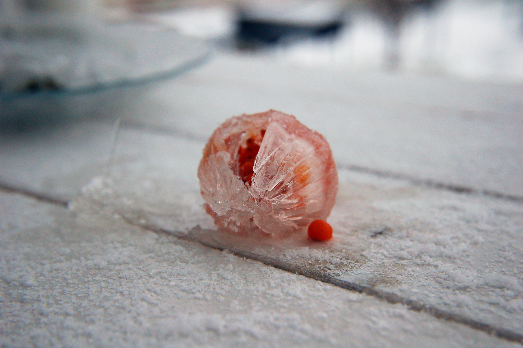 Nikon D50 sample photo. E photography