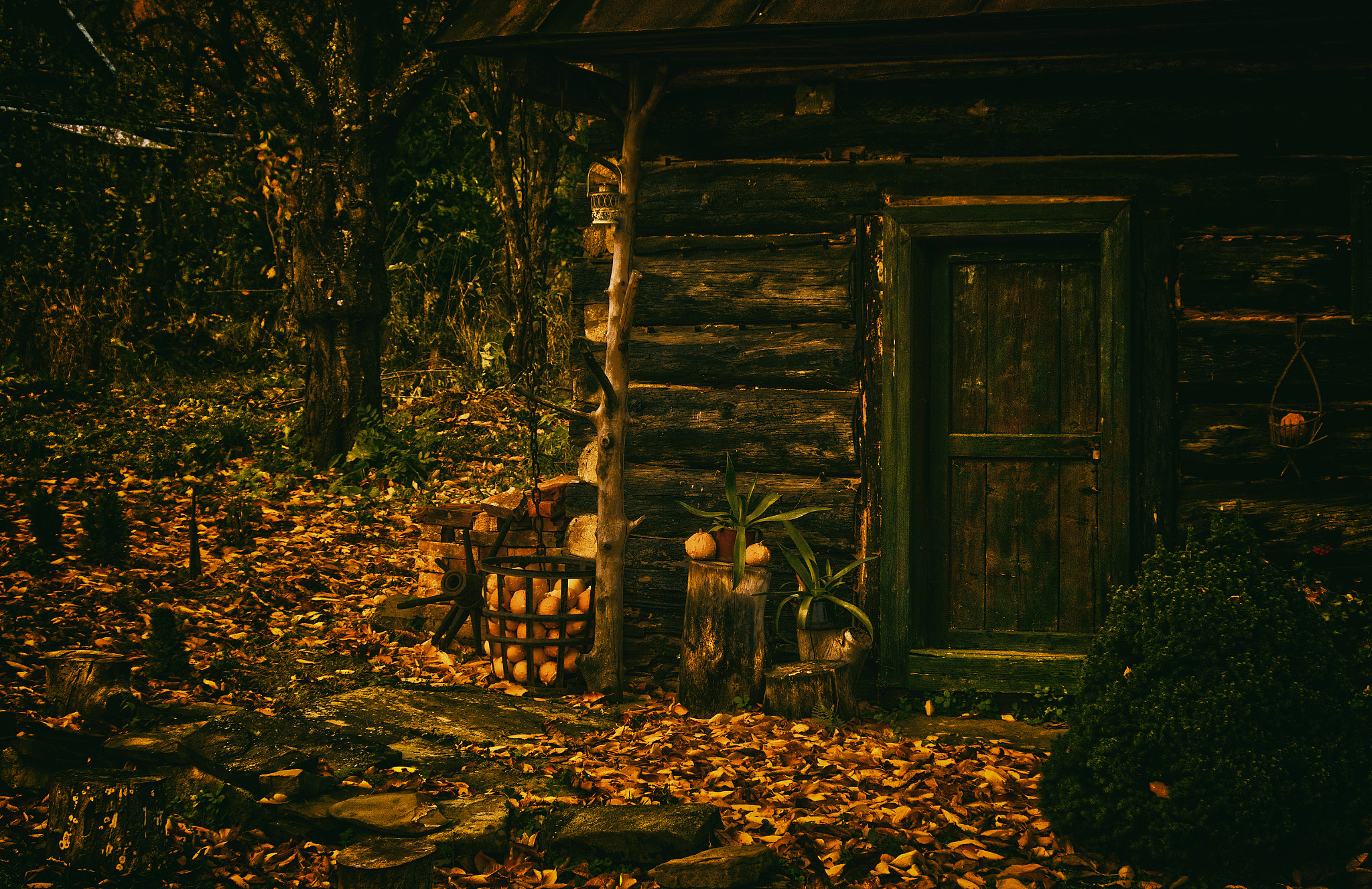 smc Pentax-DA L 50-200mm F4-5.6 ED WR sample photo. Autumn photography
