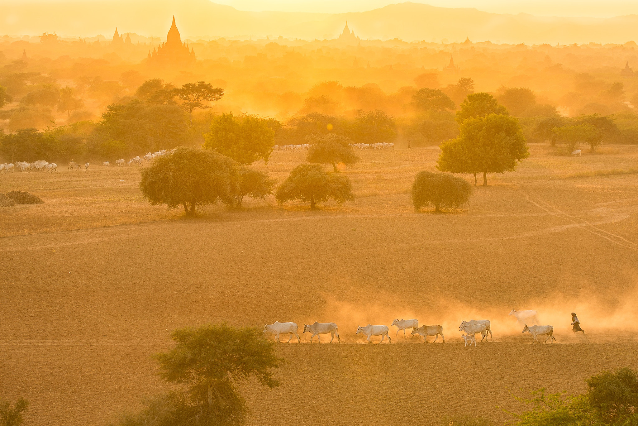 Sigma 70-200mm F2.8 EX DG OS HSM sample photo. Sunset in bagan photography