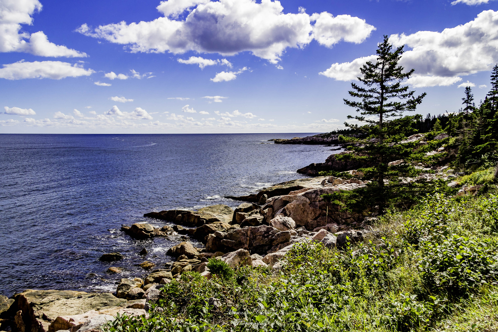 Canon EF-S 17-85mm F4-5.6 IS USM sample photo. The rugged coastline of the cabot trail photography
