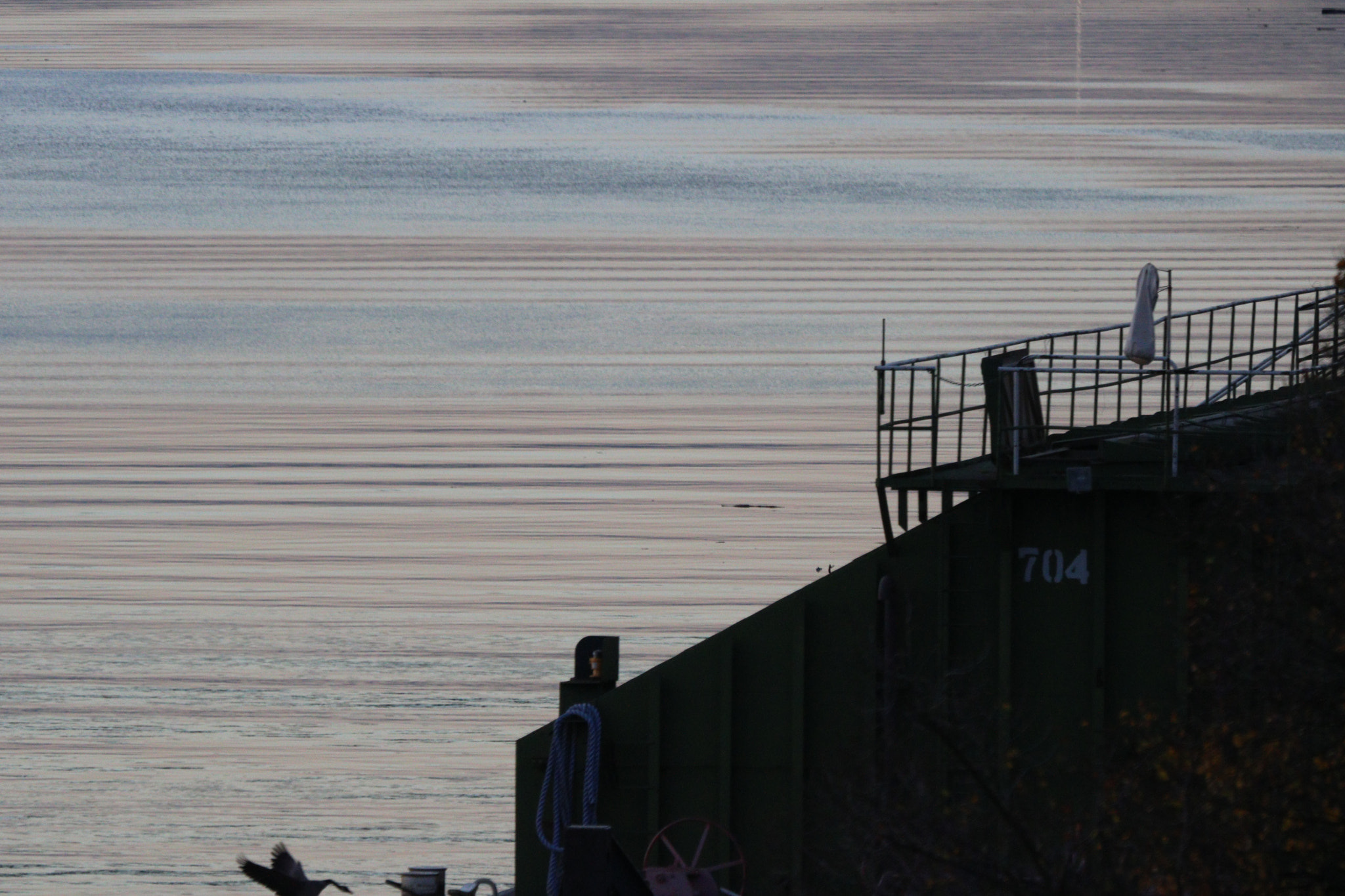 Canon EOS 760D (EOS Rebel T6s / EOS 8000D) + Canon EF 100-400mm F4.5-5.6L IS USM sample photo. Goose landing under portland steel bridge photography