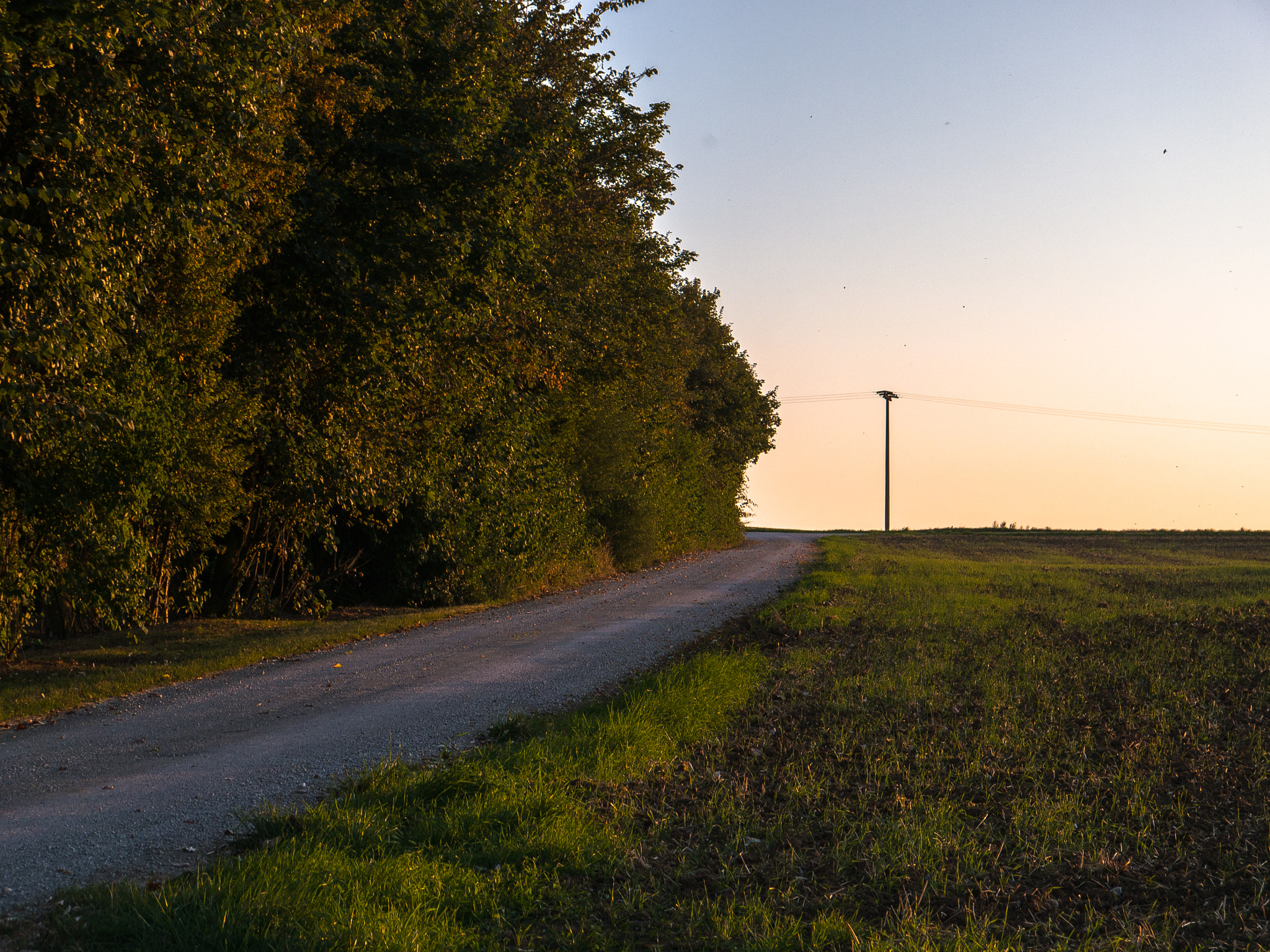 Panasonic Lumix DMC-G5 sample photo. Hecke am abend photography
