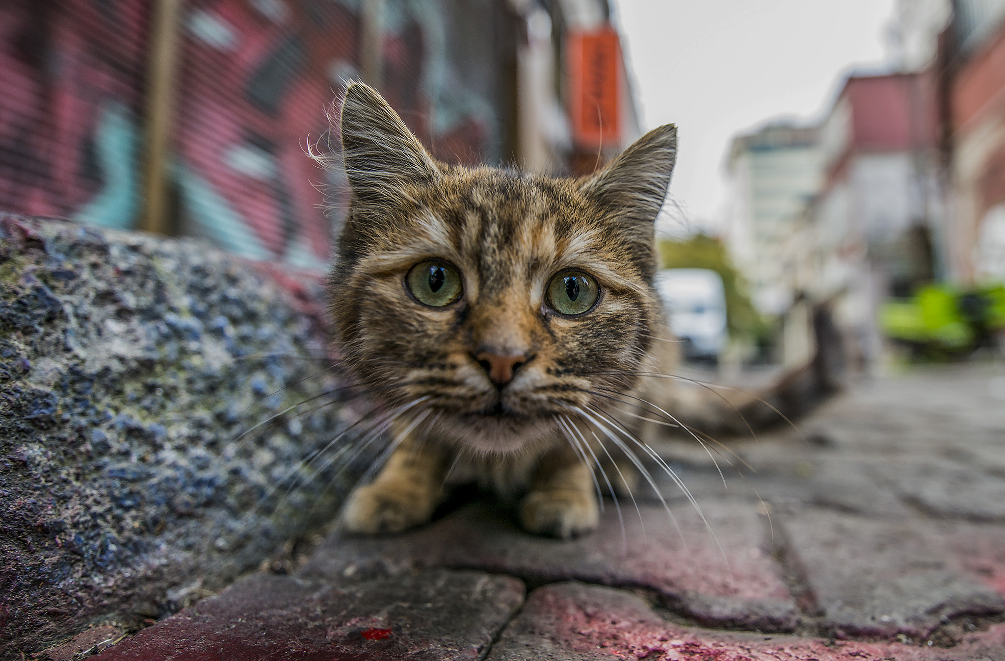 Tokina AT-X 16-28mm F2.8 Pro FX sample photo. ... photography