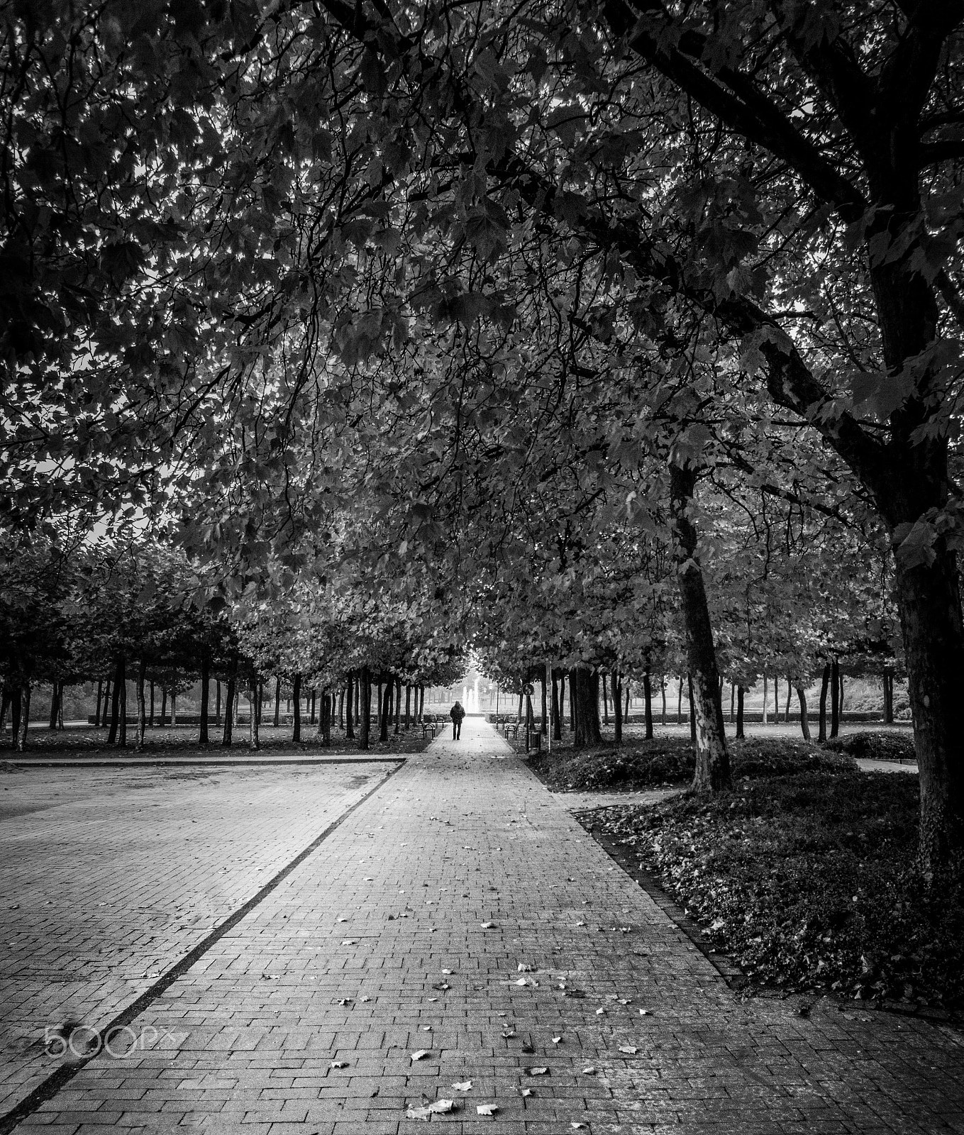 Sony DT 16-105mm F3.5-5.6 sample photo. Autumn in bad bentheim_germany photography