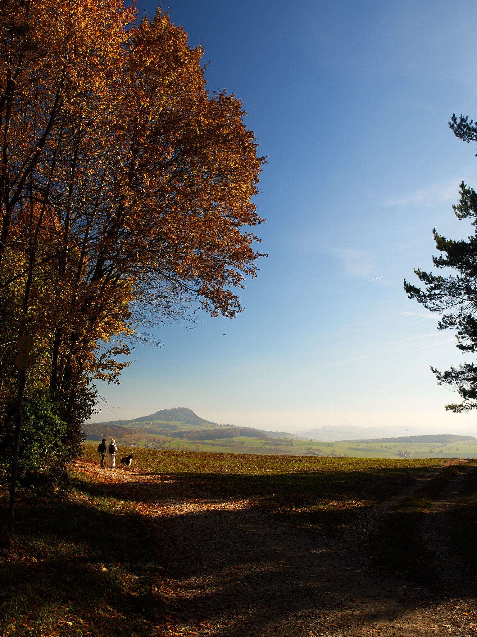 Olympus OM-D E-M10 II sample photo. Late october in the hegau photography