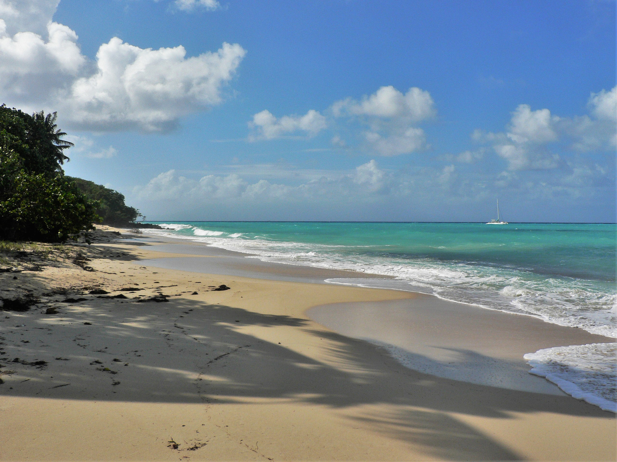 Panasonic DMC-FZ5 sample photo. Guadeloupe marie galante photography