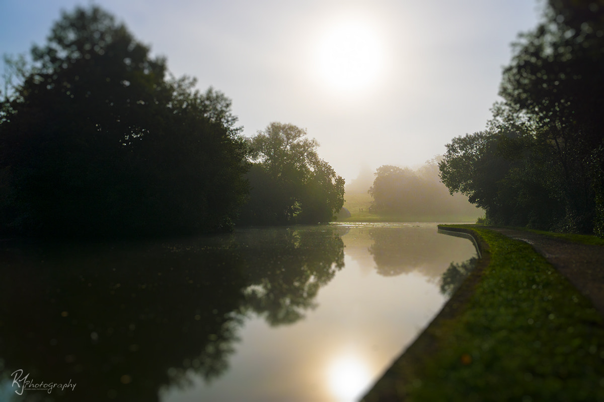 Sony DT 18-250mm F3.5-6.3 sample photo. A foggy morning photography