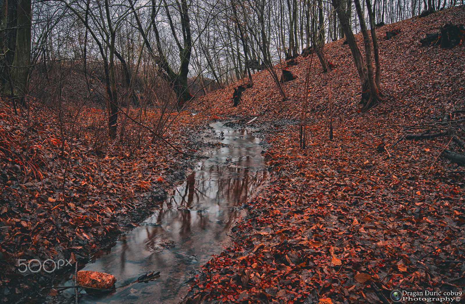 Sony Alpha DSLR-A380 + Sony DT 18-55mm F3.5-5.6 SAM sample photo. Autumn photography