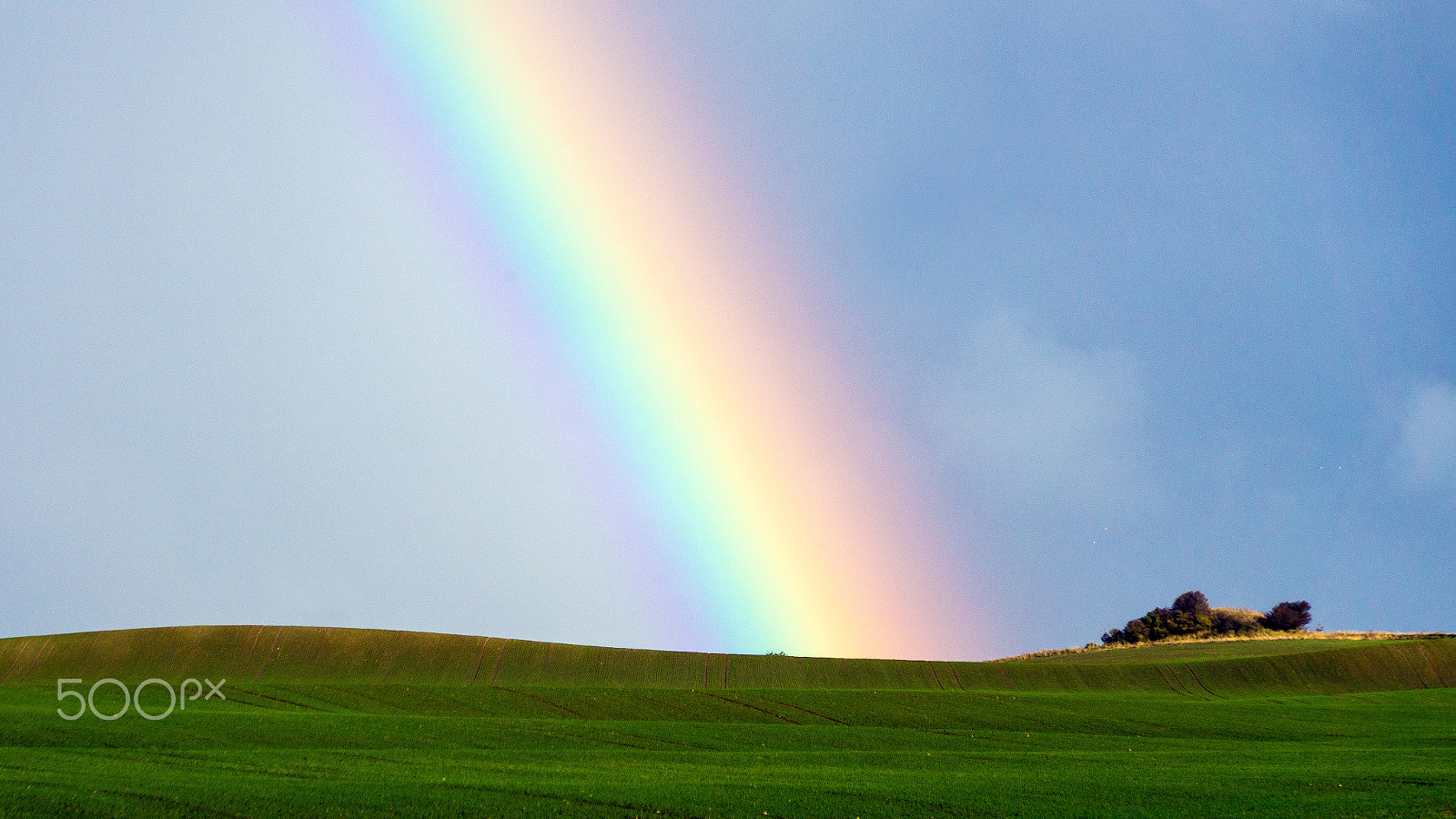 Sony DT 16-105mm F3.5-5.6 sample photo. Rainbow photography