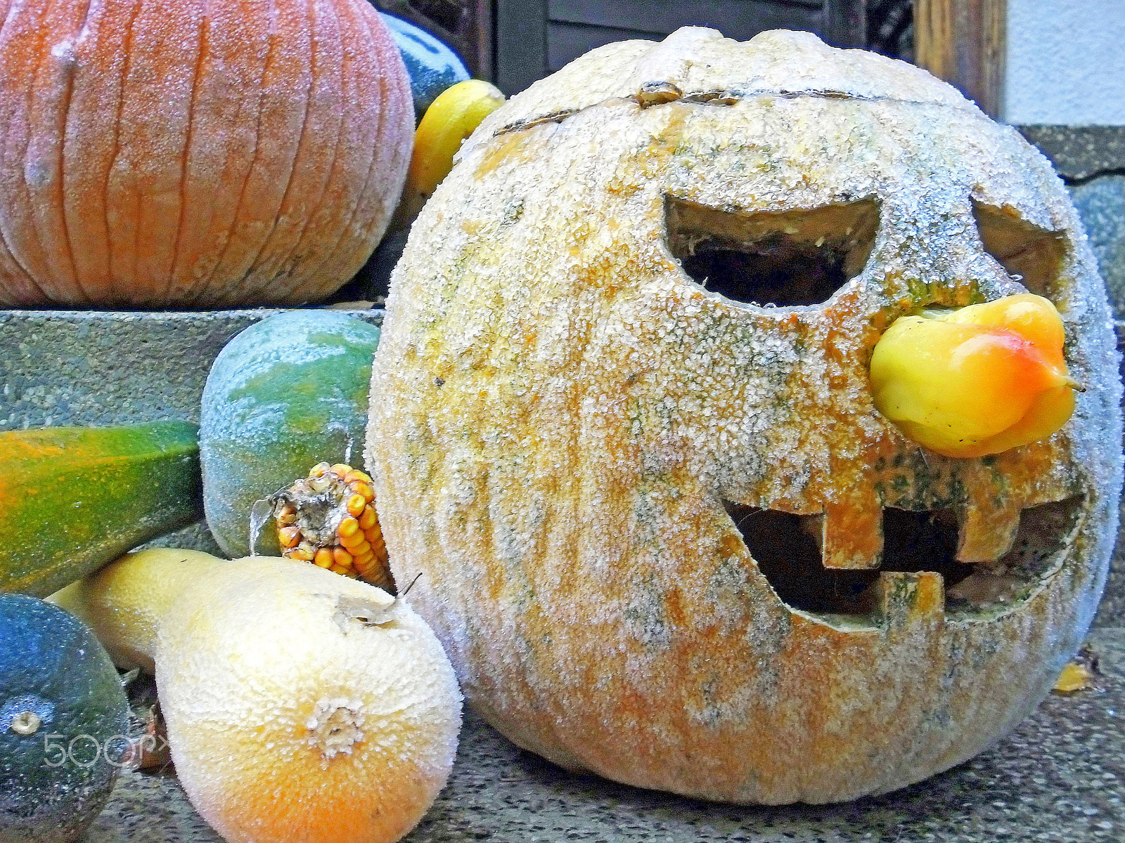Samsung ES30/VLUU ES30 sample photo. Halloween's frozen pumpkin photography