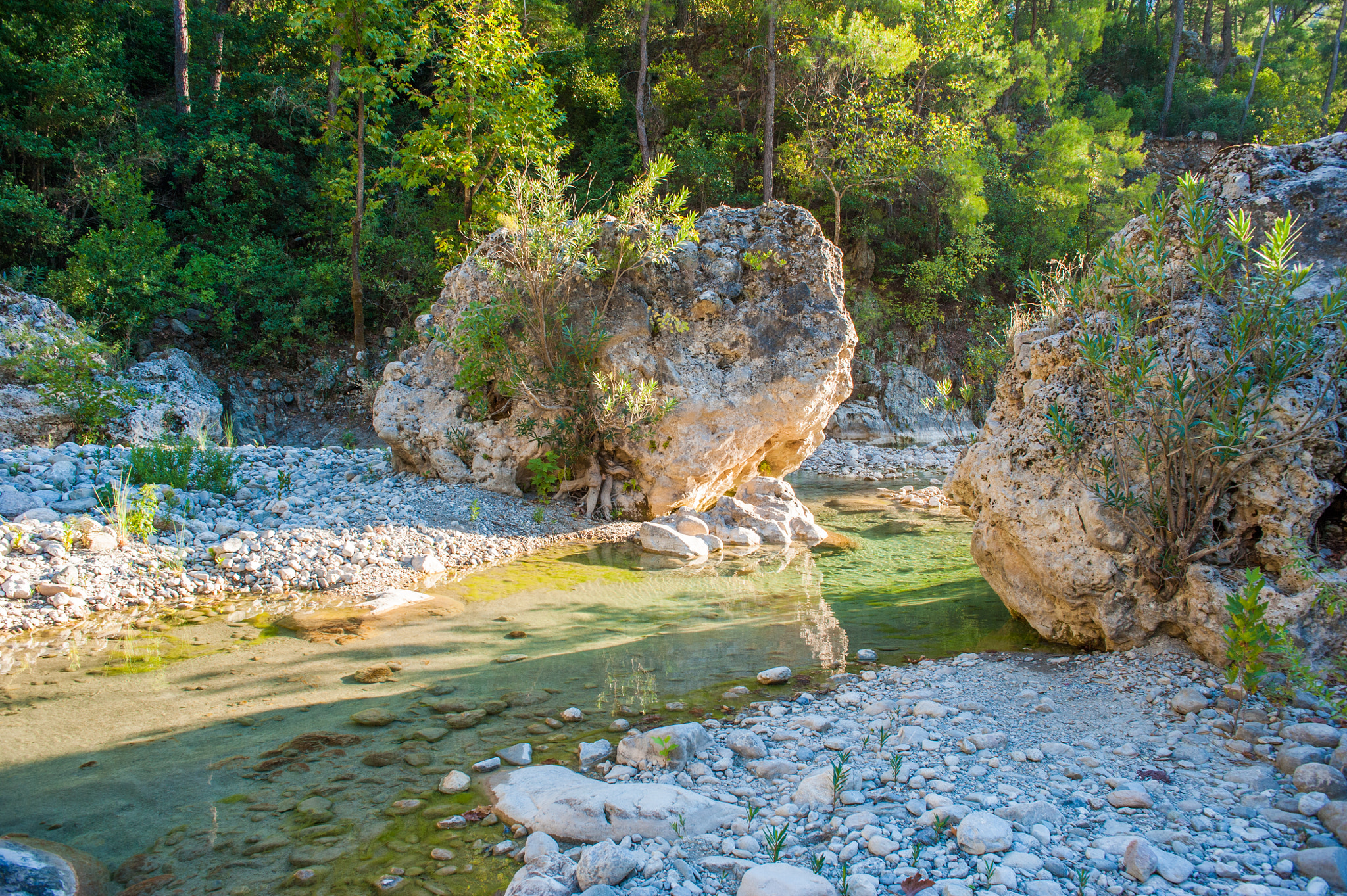 Nikon D700 + Sigma 24mm F2.8 Super Wide II Macro sample photo. Canyon photography