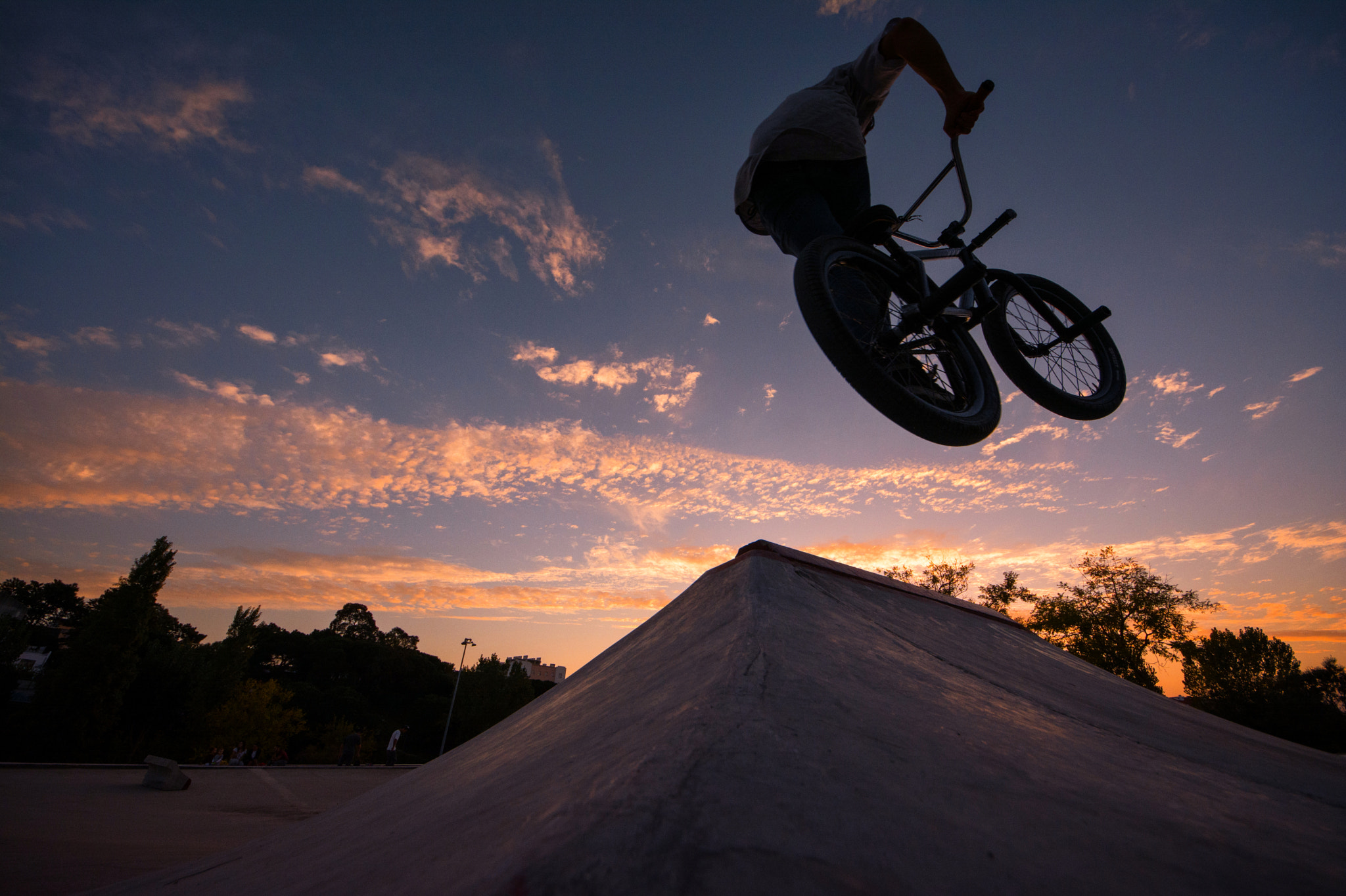 Sigma 8-16mm F4.5-5.6 DC HSM sample photo. At the park photography