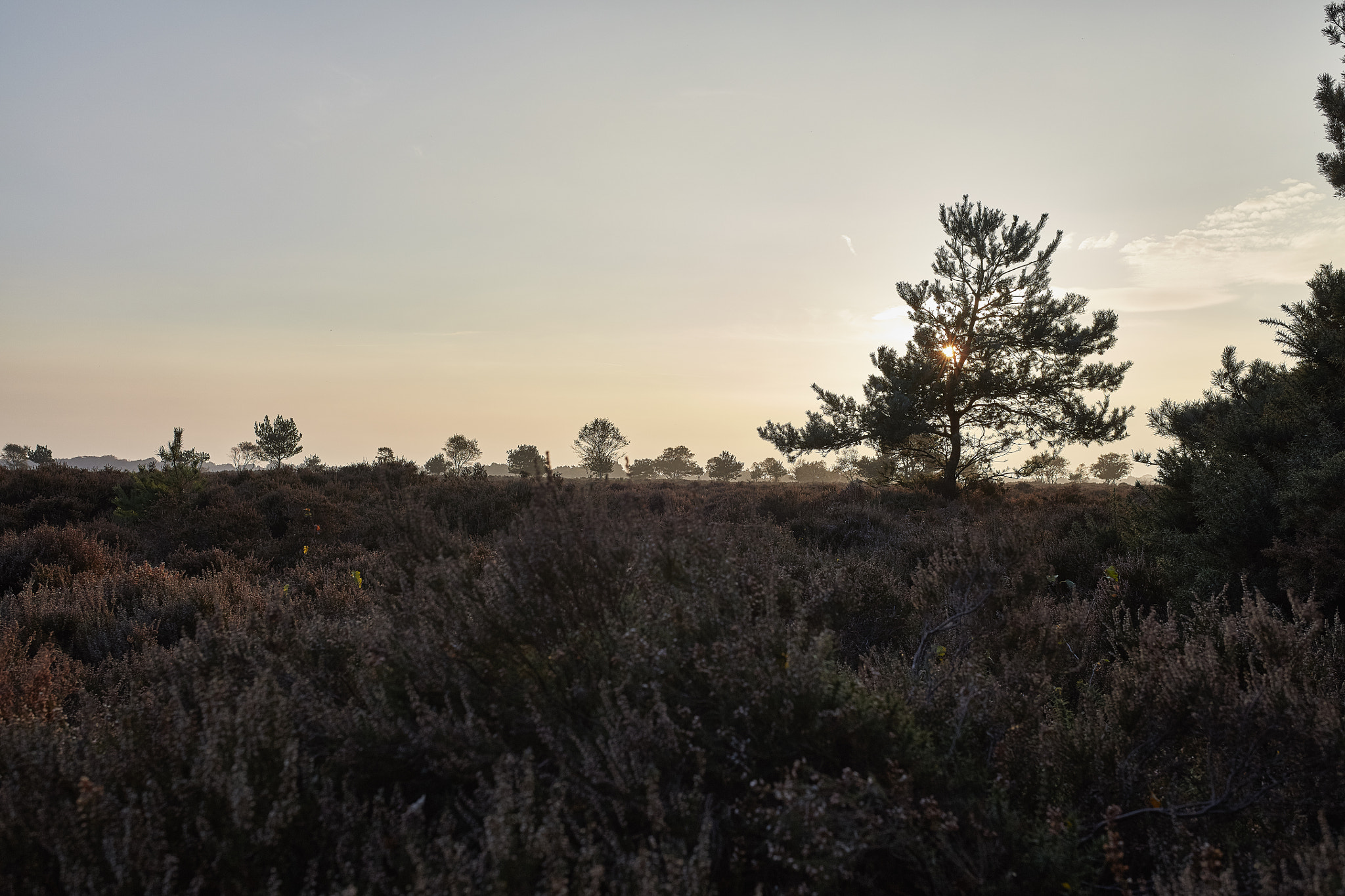 Sigma 35mm F1.4 DG HSM Art sample photo. Autumn landscapes photography