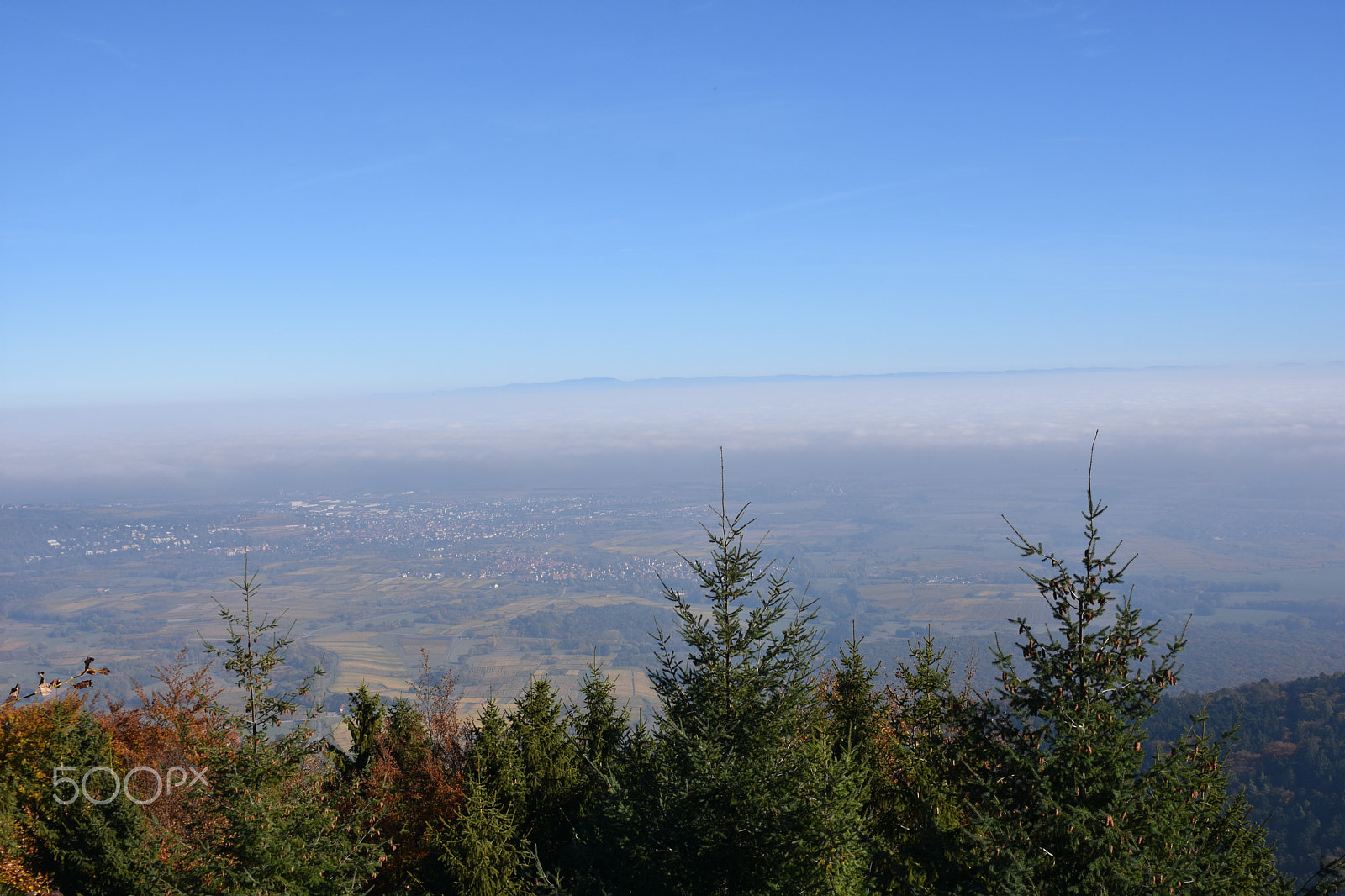 Sigma 24-70mm F2.8 EX DG HSM sample photo. Brume entre vosges et forêt noire photography