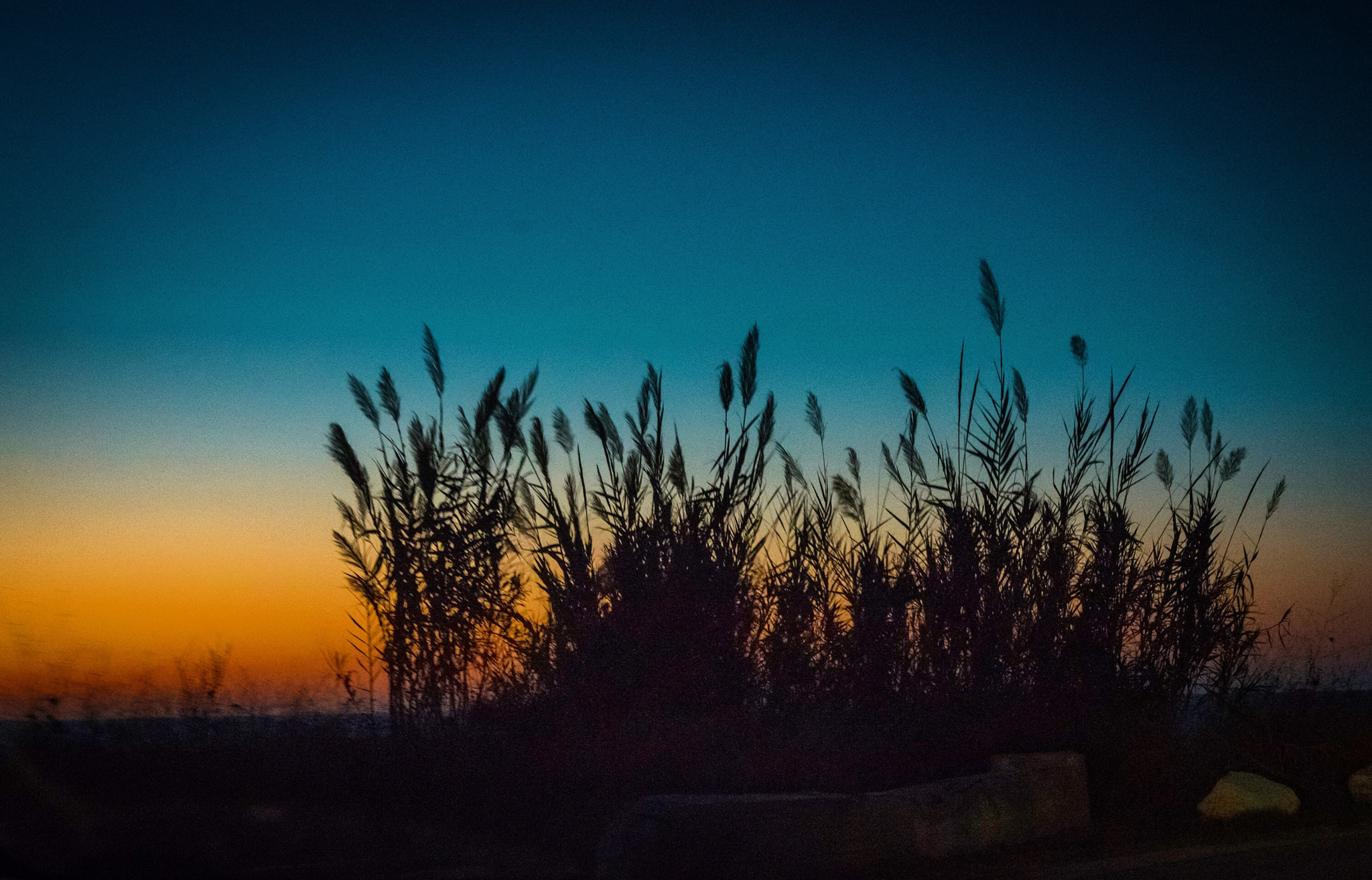 Nikon D800E + Nikon AF-S Nikkor 50mm F1.8G sample photo. Night falls photography
