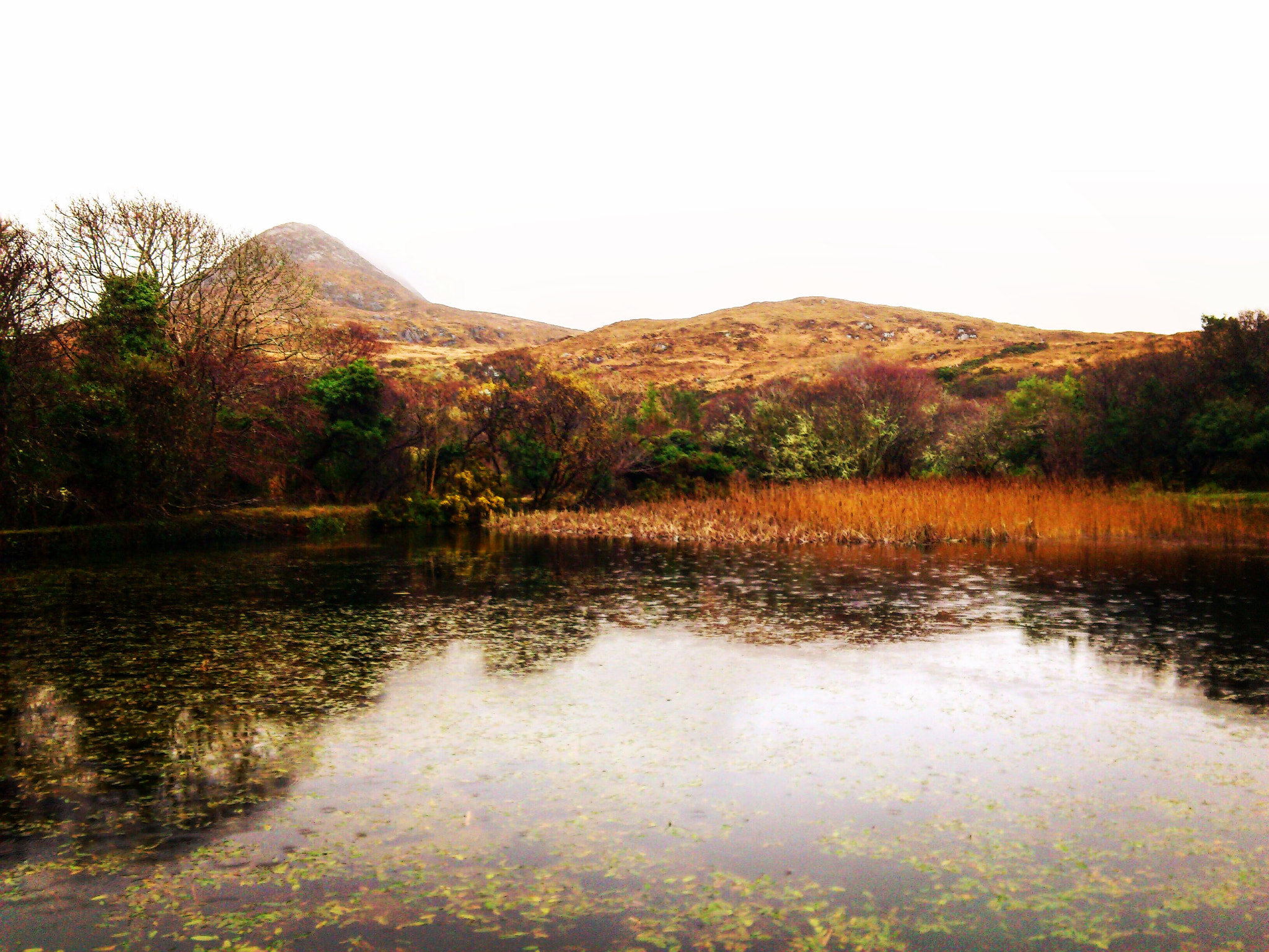 Sony Ericsson Xperia arc S sample photo. Paisajes de irlanda photography