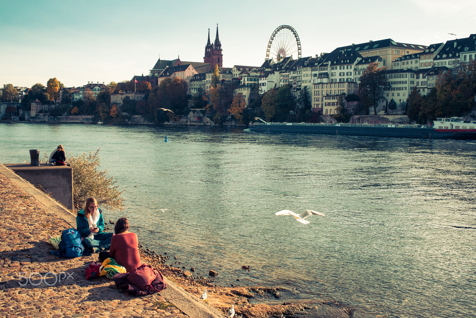 Nikon D750 + Nikon AF Nikkor 35mm F2D sample photo. Yellow basel #7 photography