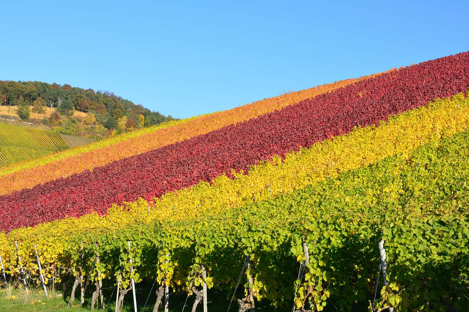 Nikon D5200 + Sigma 18-35mm F1.8 DC HSM Art sample photo. Colours of autumn photography