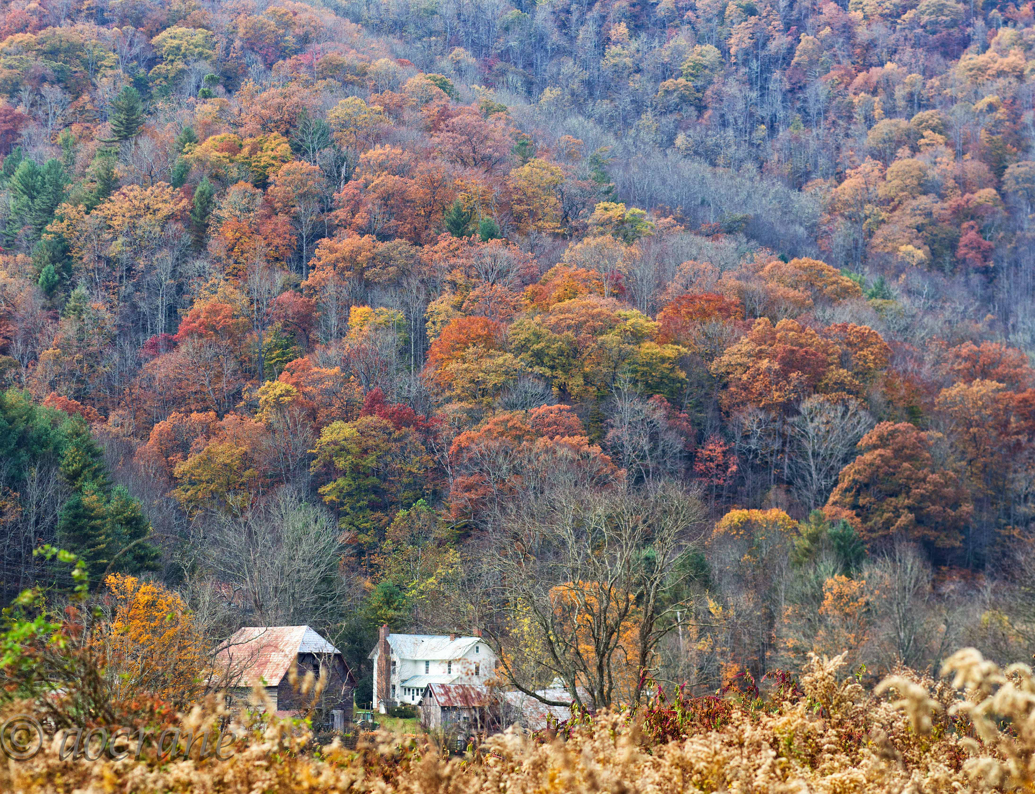 Olympus OM-D E-M5 + Olympus M.Zuiko Digital ED 75mm F1.8 sample photo. Valle crucis snapshot photography