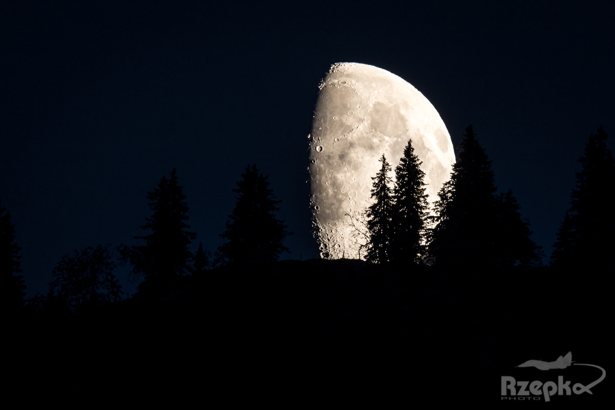 Nikon AF-S Nikkor 400mm F2.8E FL ED VR sample photo. Moonlight photography