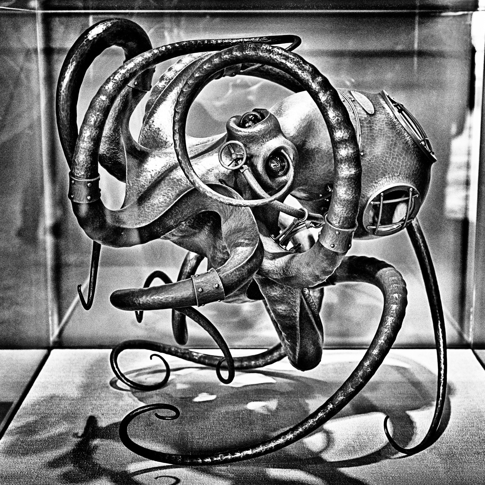 Pentax K-1 sample photo. Octopus photography