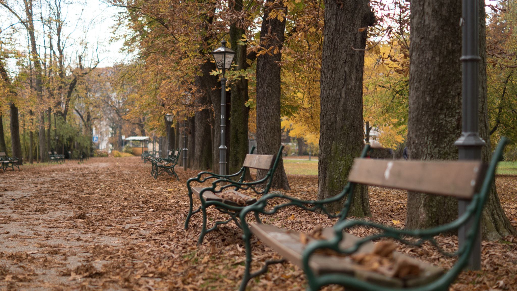 Sony ILCA-77M2 sample photo. Autumn in park photography