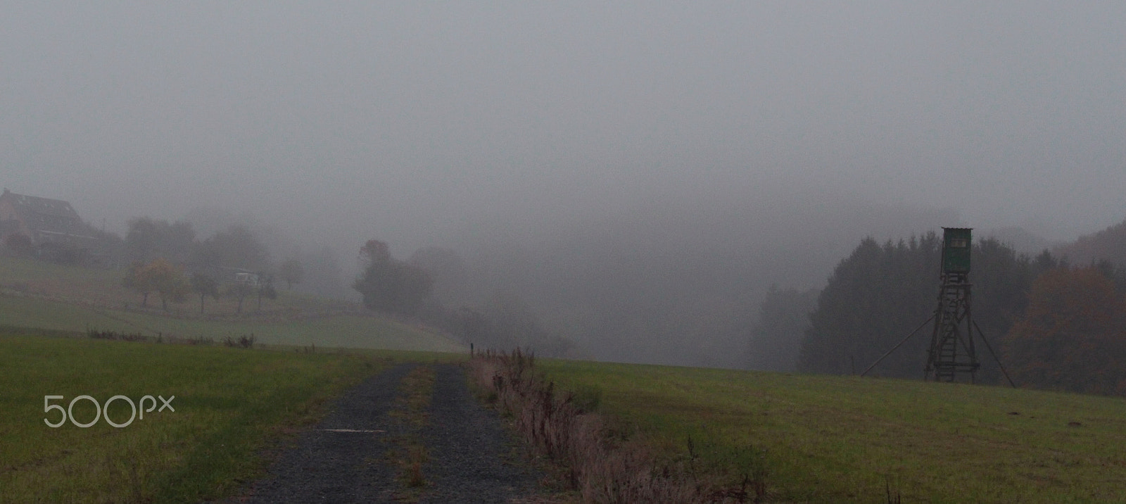 Canon EF-S 55-250mm F4-5.6 IS sample photo. Misty fields photography