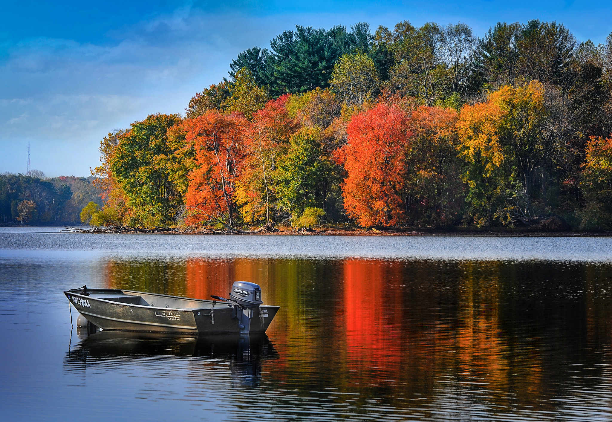 Nikon D3 sample photo. Autumn morning photography