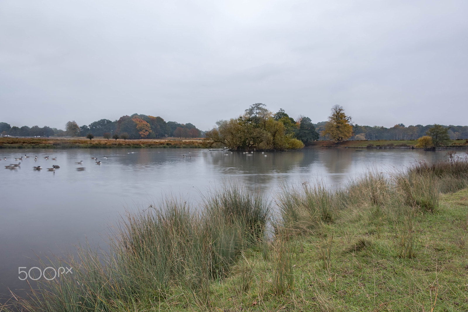 Canon EF-S 17-85mm F4-5.6 IS USM sample photo. Pen pond lake richmond 1 photography