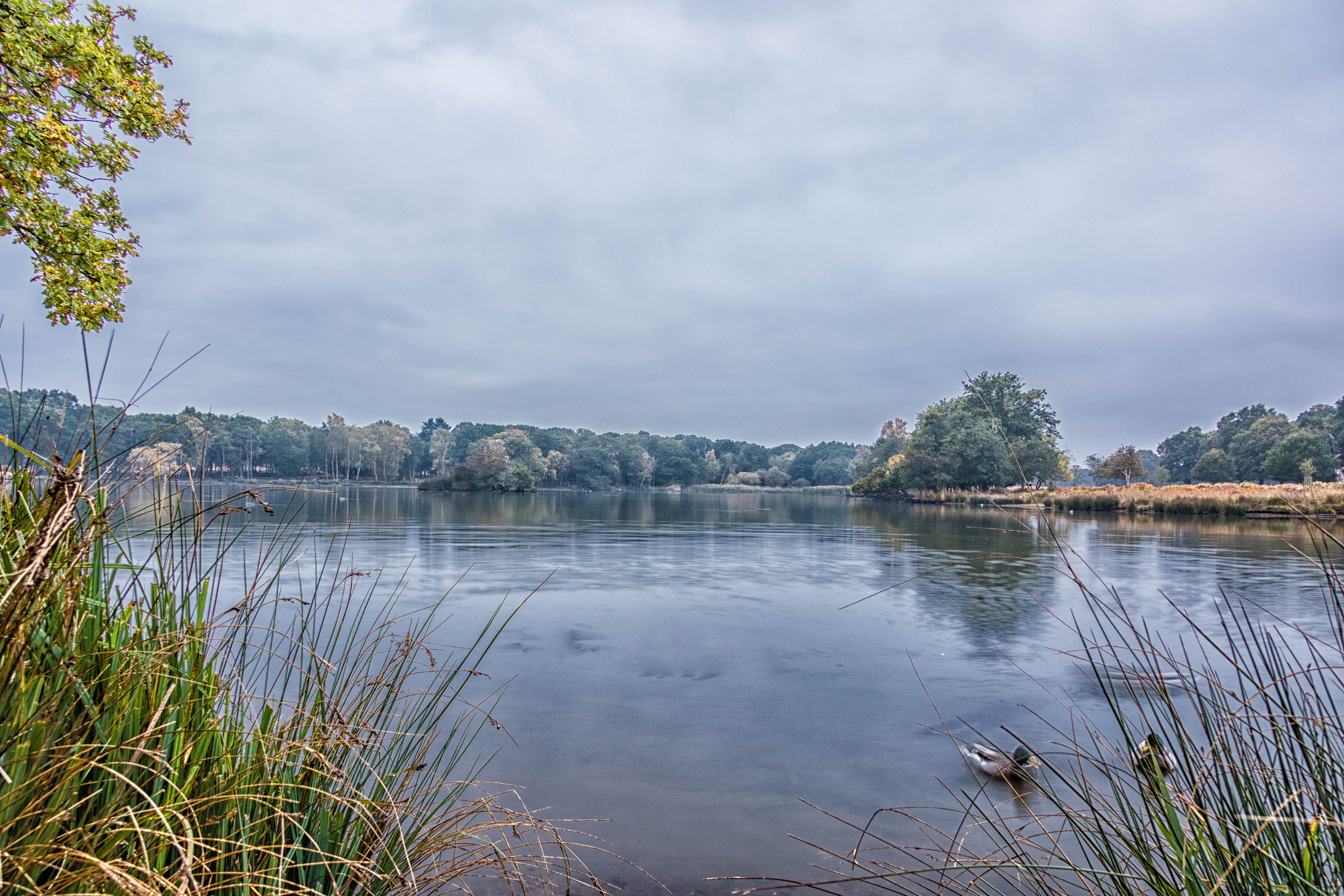 Canon EF-S 17-85mm F4-5.6 IS USM sample photo. Pen pond lake richmond5 photography