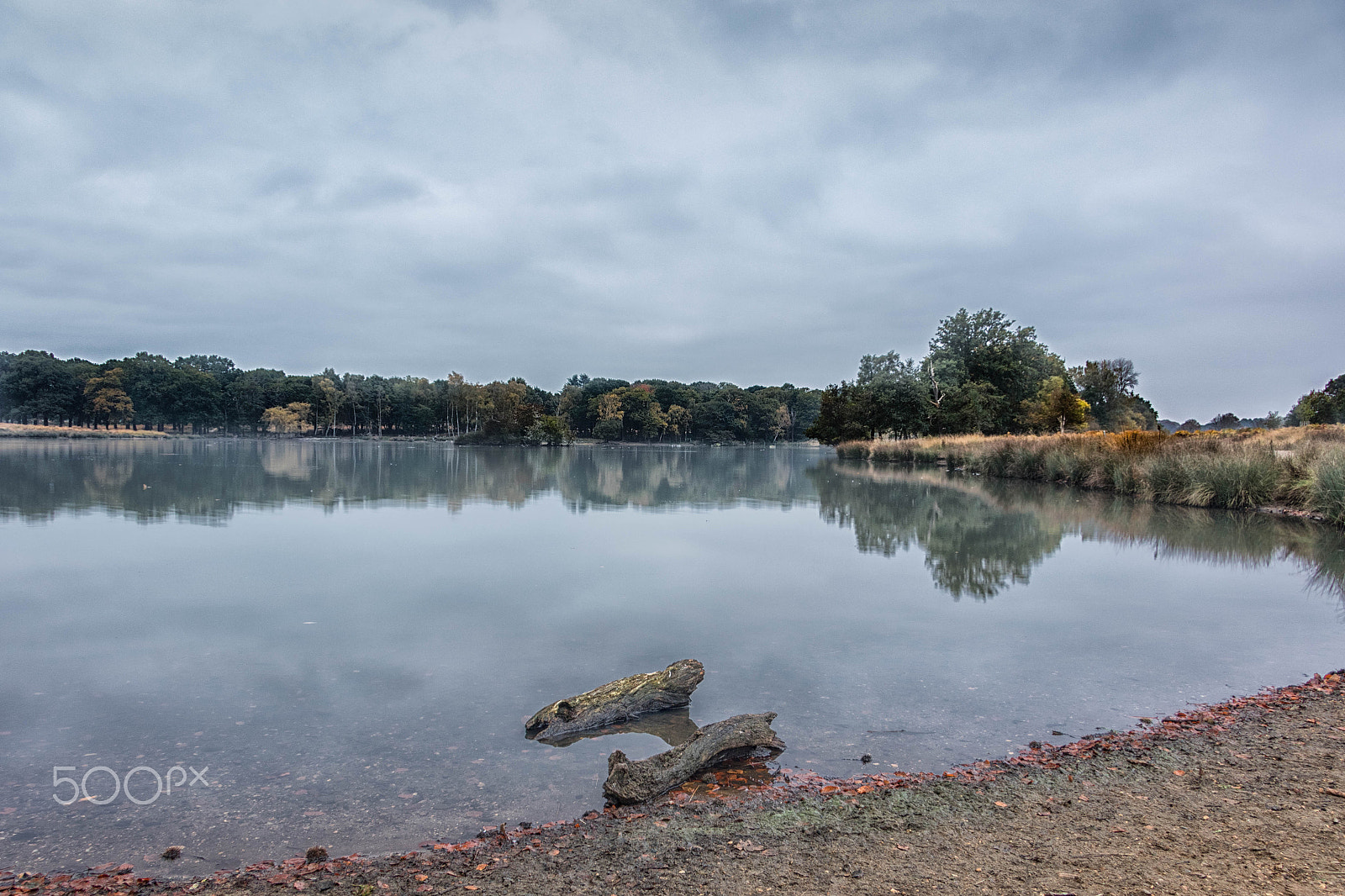 Canon EF-S 17-85mm F4-5.6 IS USM sample photo. Pen pond lake richmond6 photography