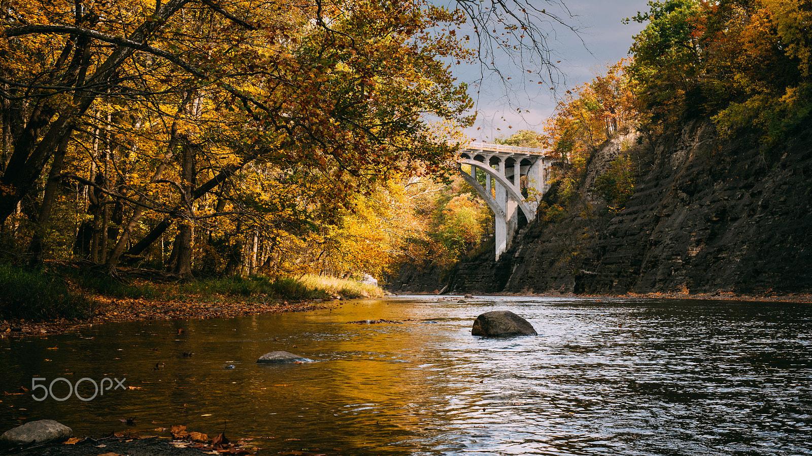 Nikon D600 + Sigma 50mm F1.4 DG HSM Art sample photo. Fall bridge photography