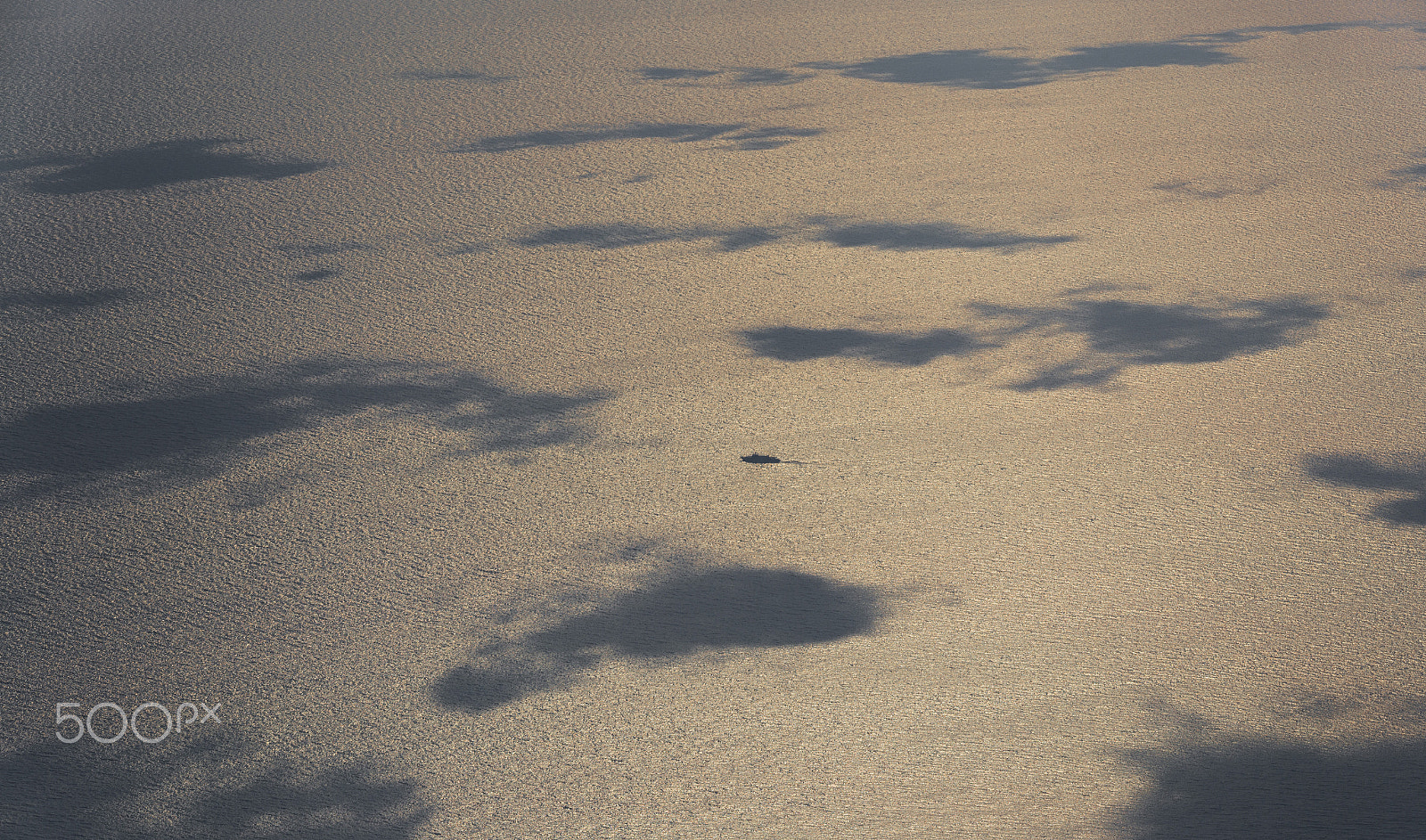 Sigma 150-500mm F5-6.3 DG OS HSM sample photo. Through the cloud of shadows.. photography