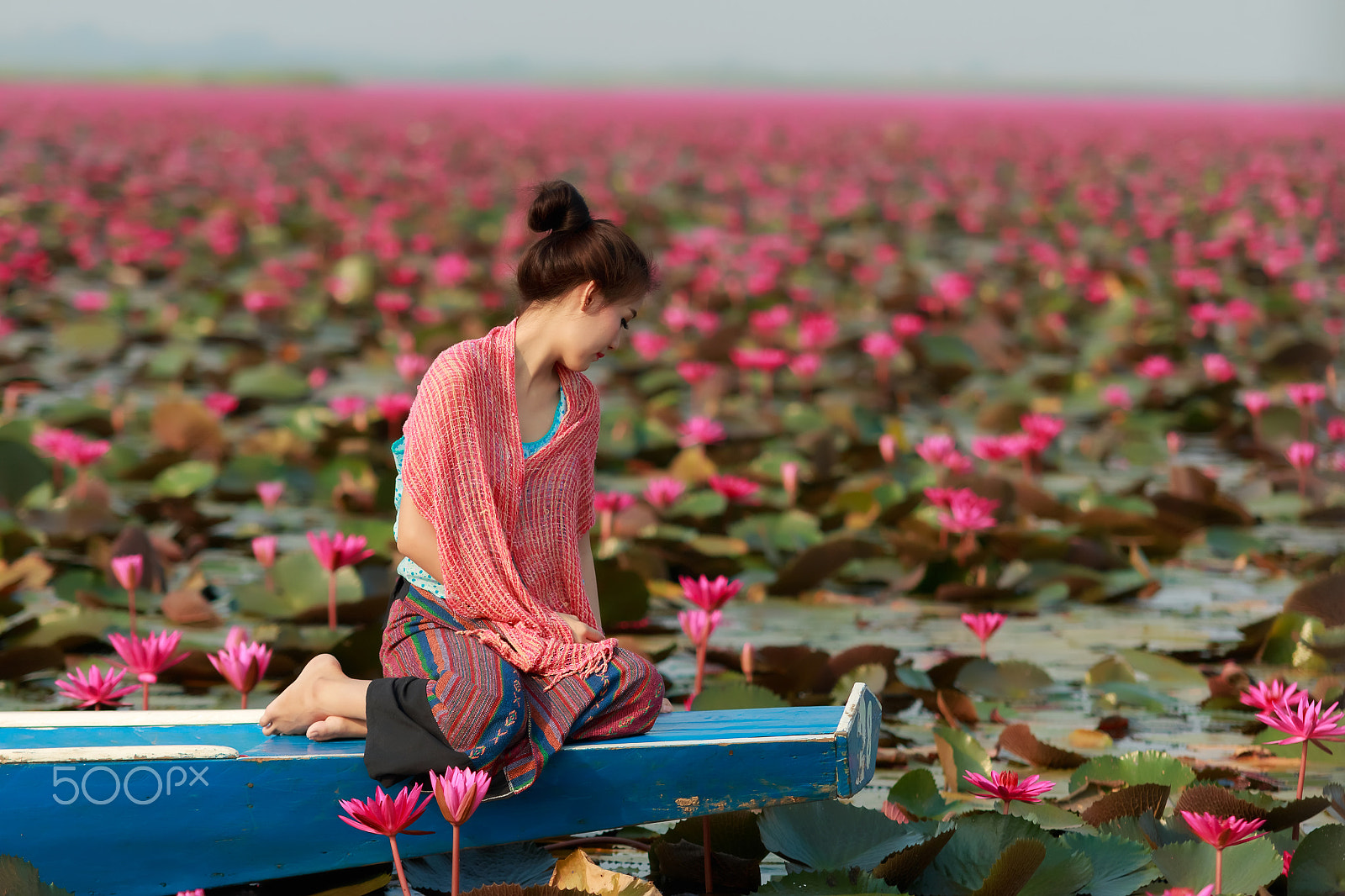 Canon EOS 70D + Sigma 70-200mm F2.8 EX DG OS HSM sample photo. In the lotus field. photography