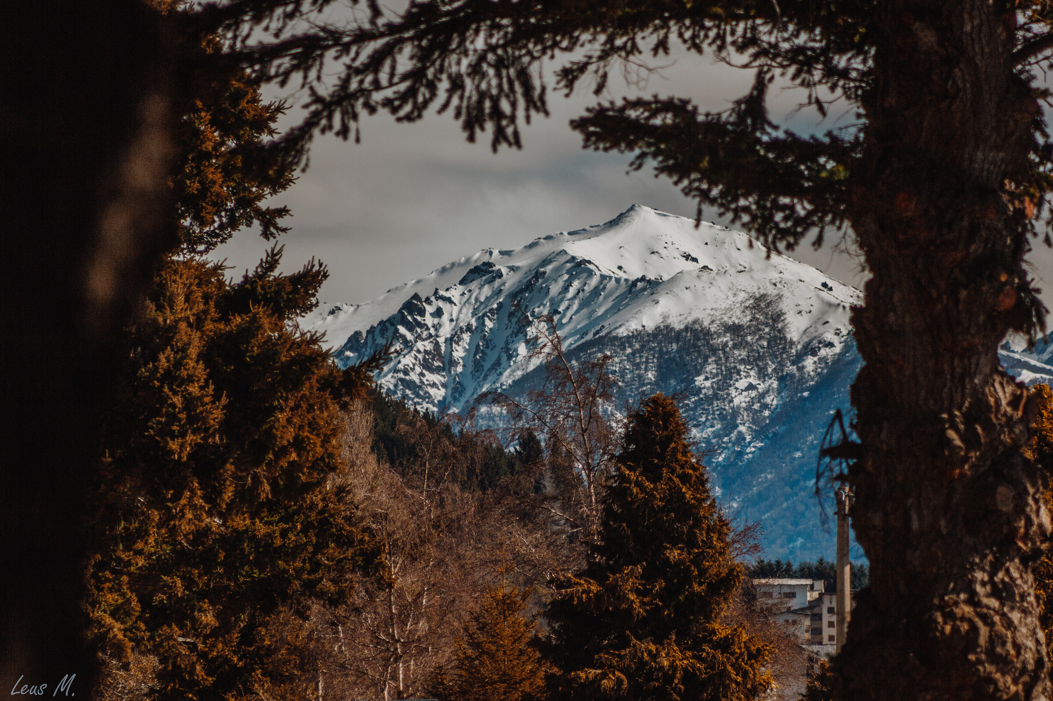 Canon EF 80-200mm F4.5-5.6 II sample photo. Entre los pinos, montañas con nieve! photography